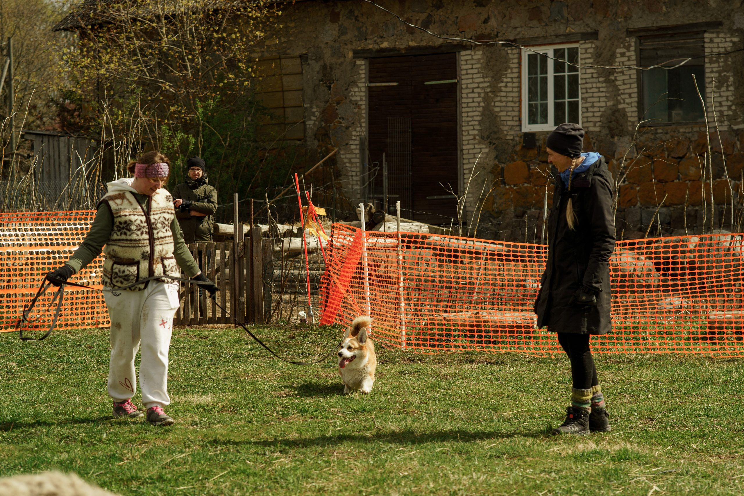 Herding Days, 26 apr. 2025. Kat Laisaar — Pet photographer in Tallinn