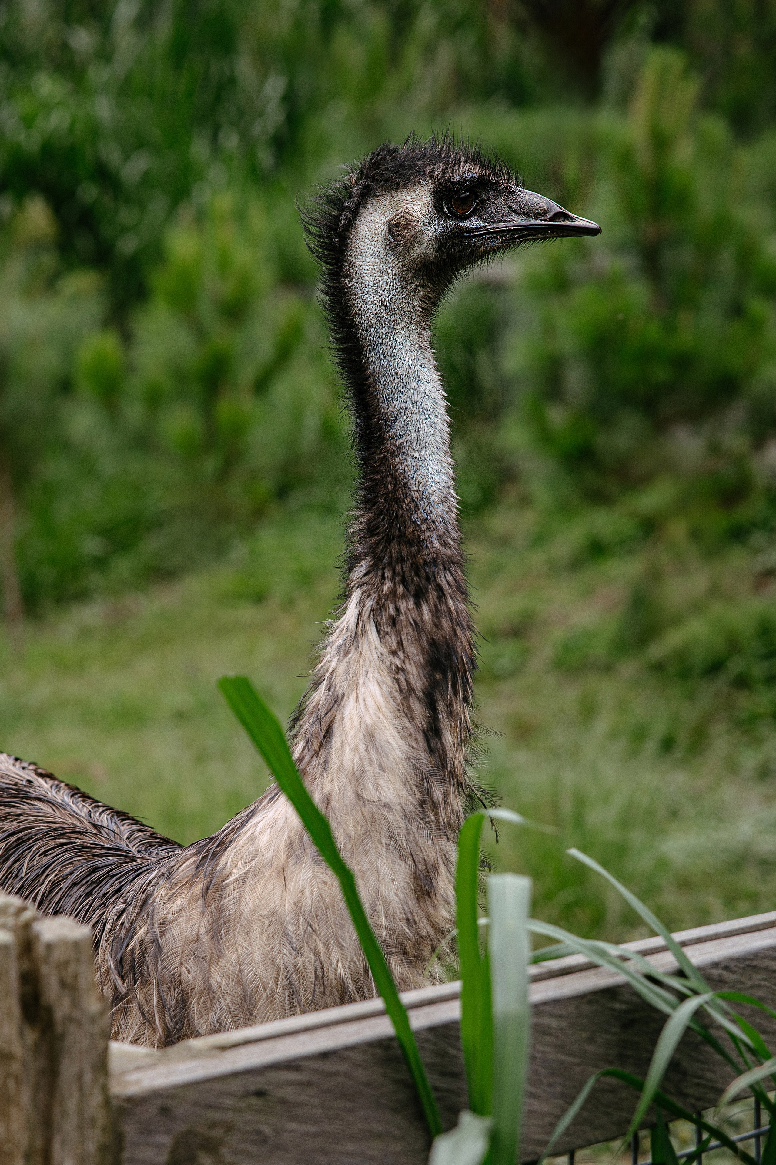North trip. Профессиональный фотограф Нурмиева Вероника