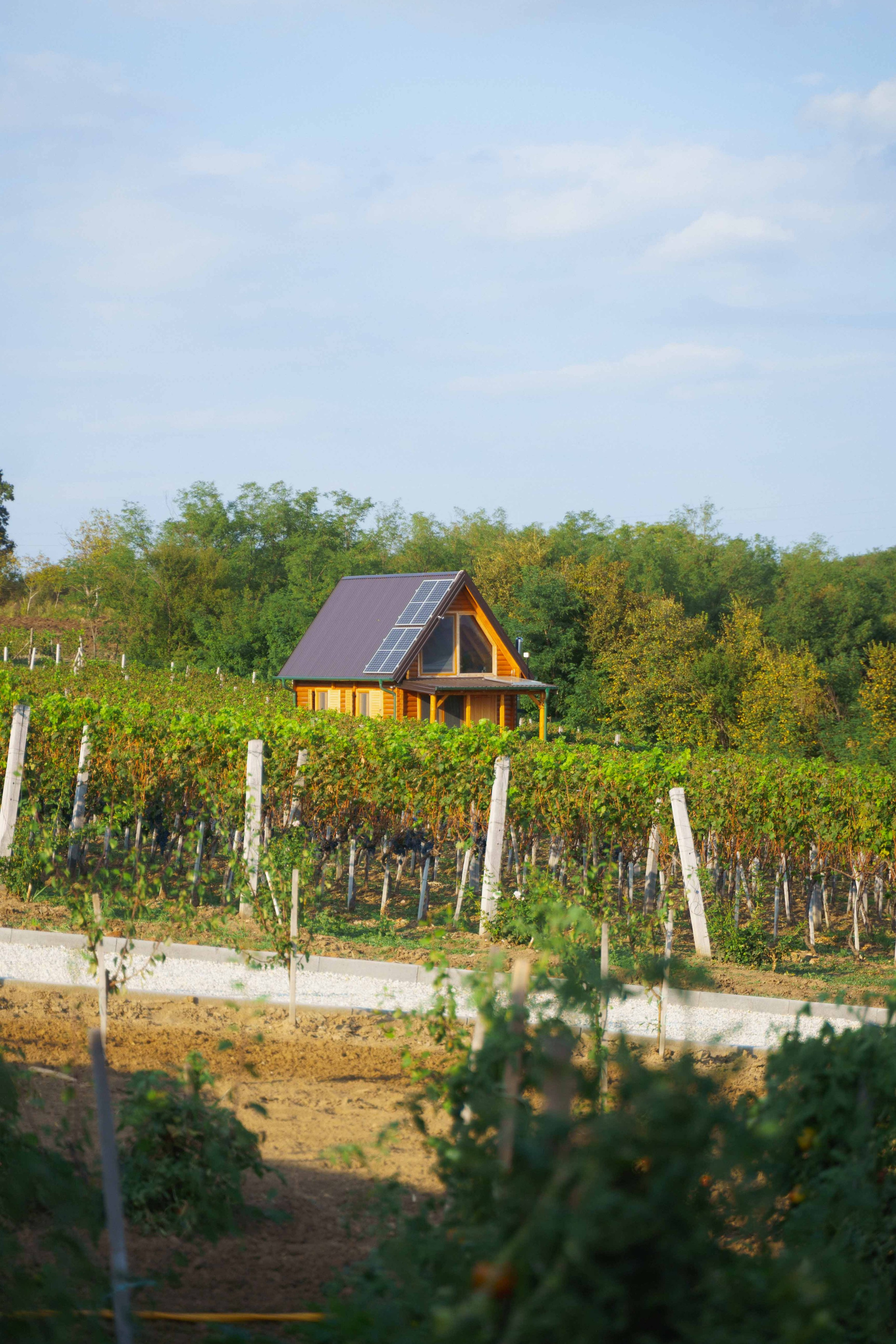 Jeep Commerce Event. Žukov Studio