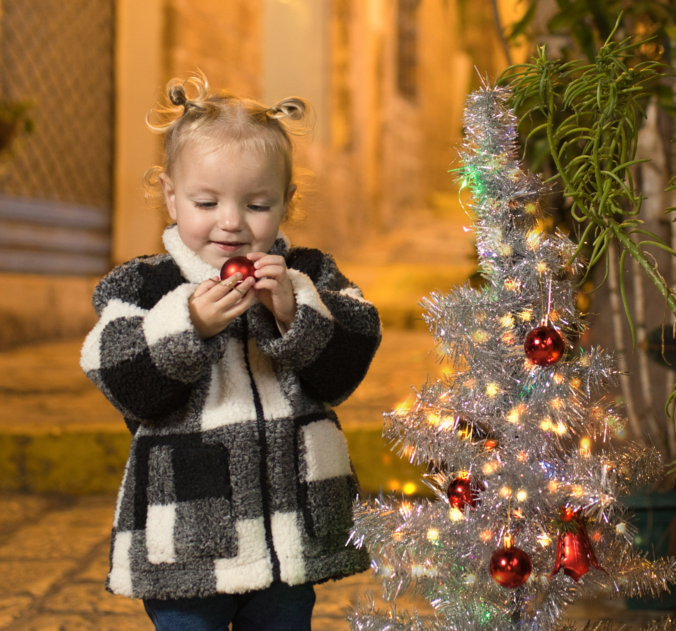 Christmas Photography. Professional photographer Serbia
