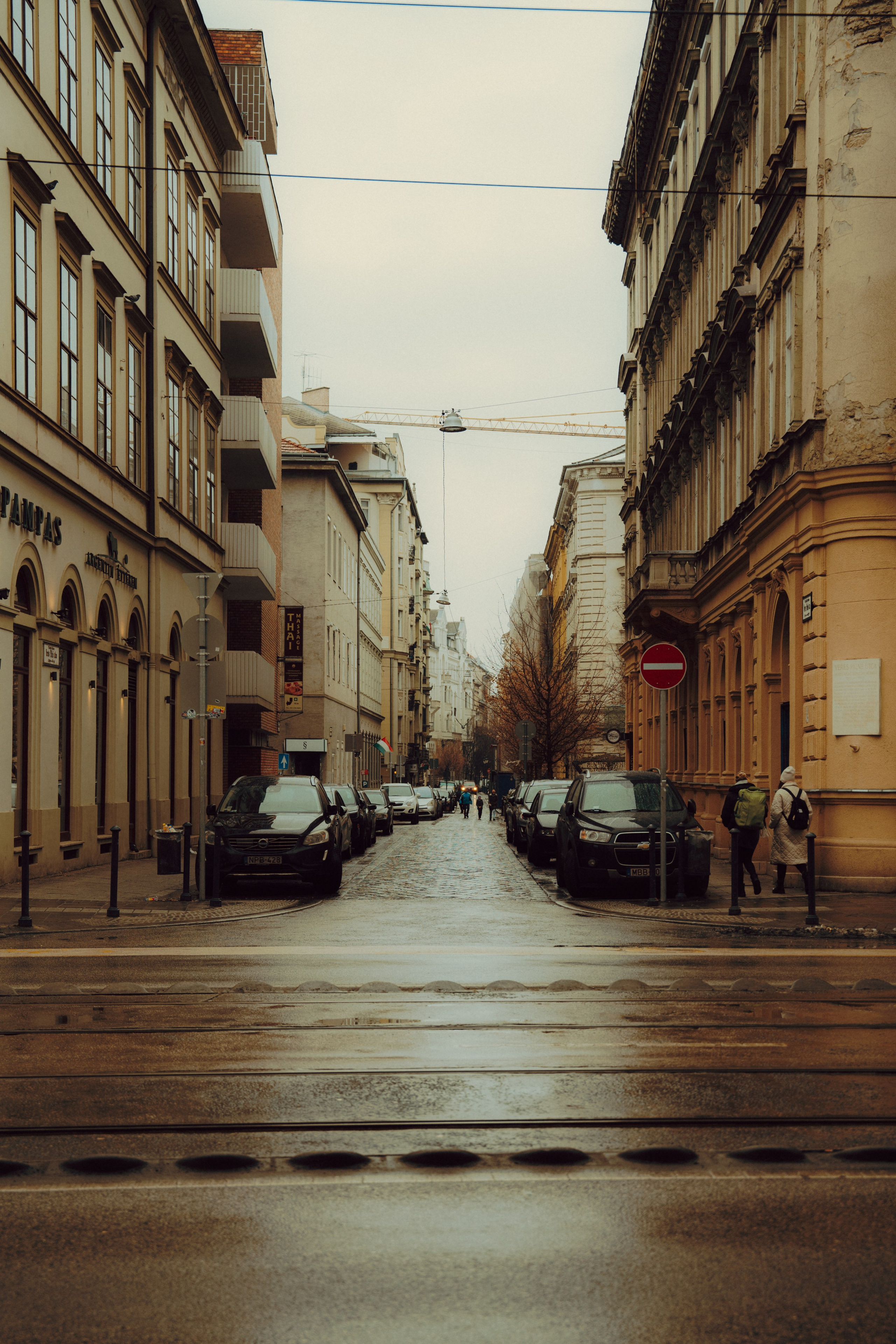 Budapest. Merabi Eminashvili