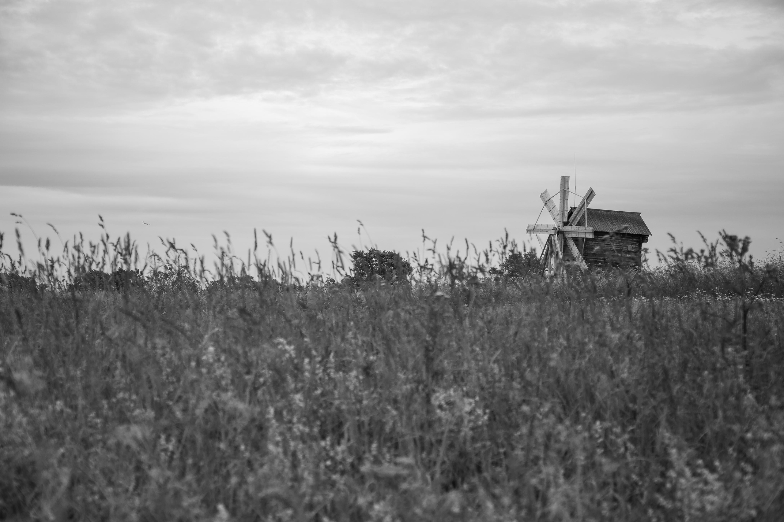 Russia. Kizhi Island. Covid period. Anastasia Shapoval violoniste et photographe. Paris — Bourges