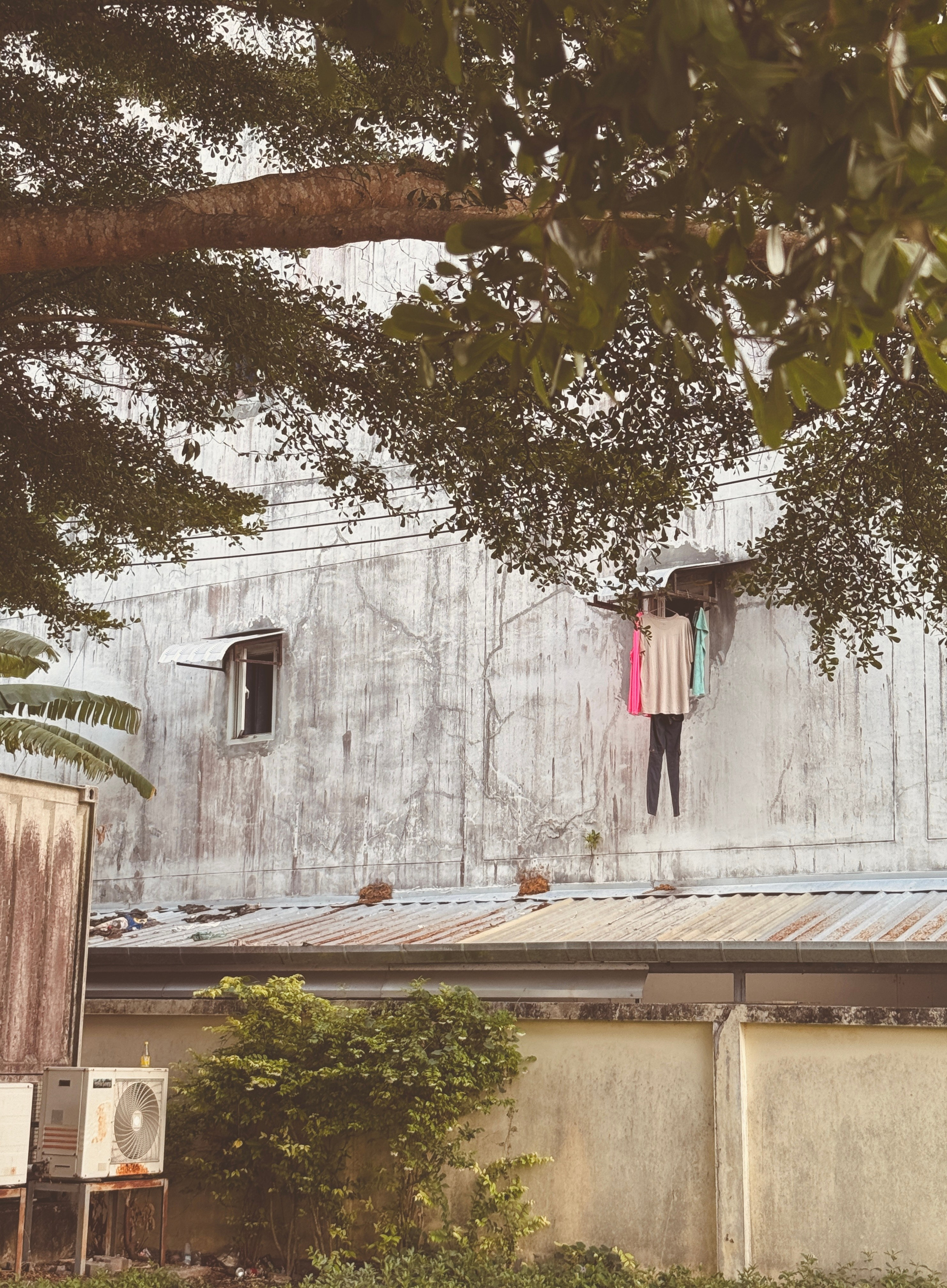 Phuket_2024/2025. Портретный фотограф Алена Новгородцева