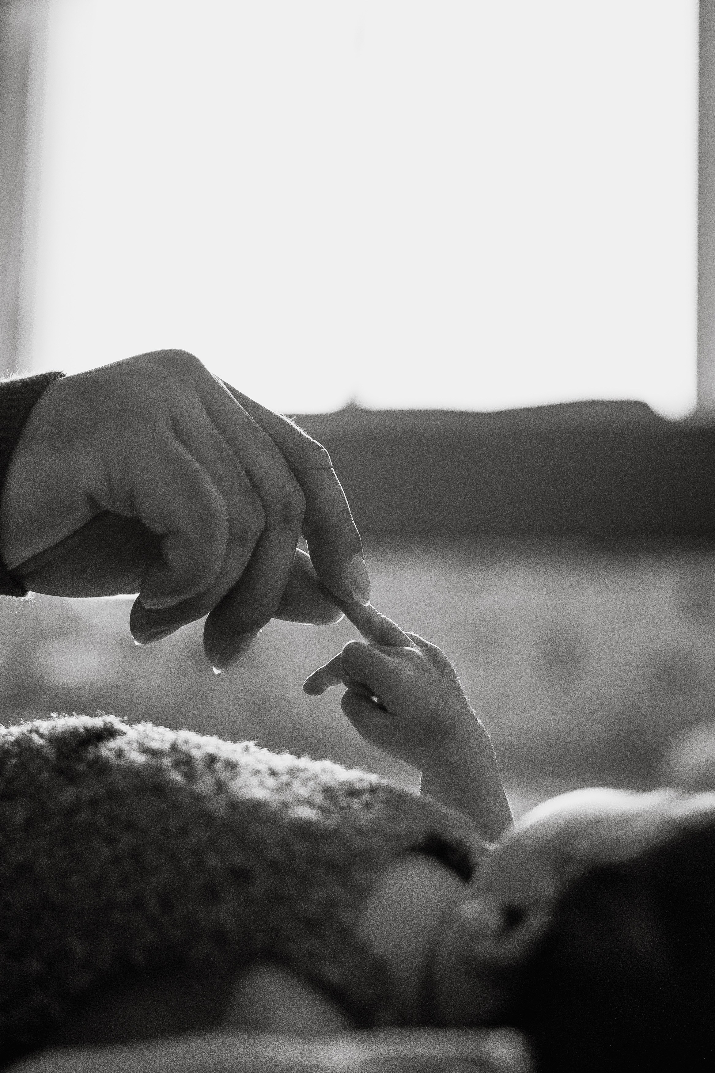 Full Family Newborn Photography – Love, Warmth & Connection. Alisa Tant — Family and newborn photographer Bucks County, Montgomery county, Philadelphia, NJ