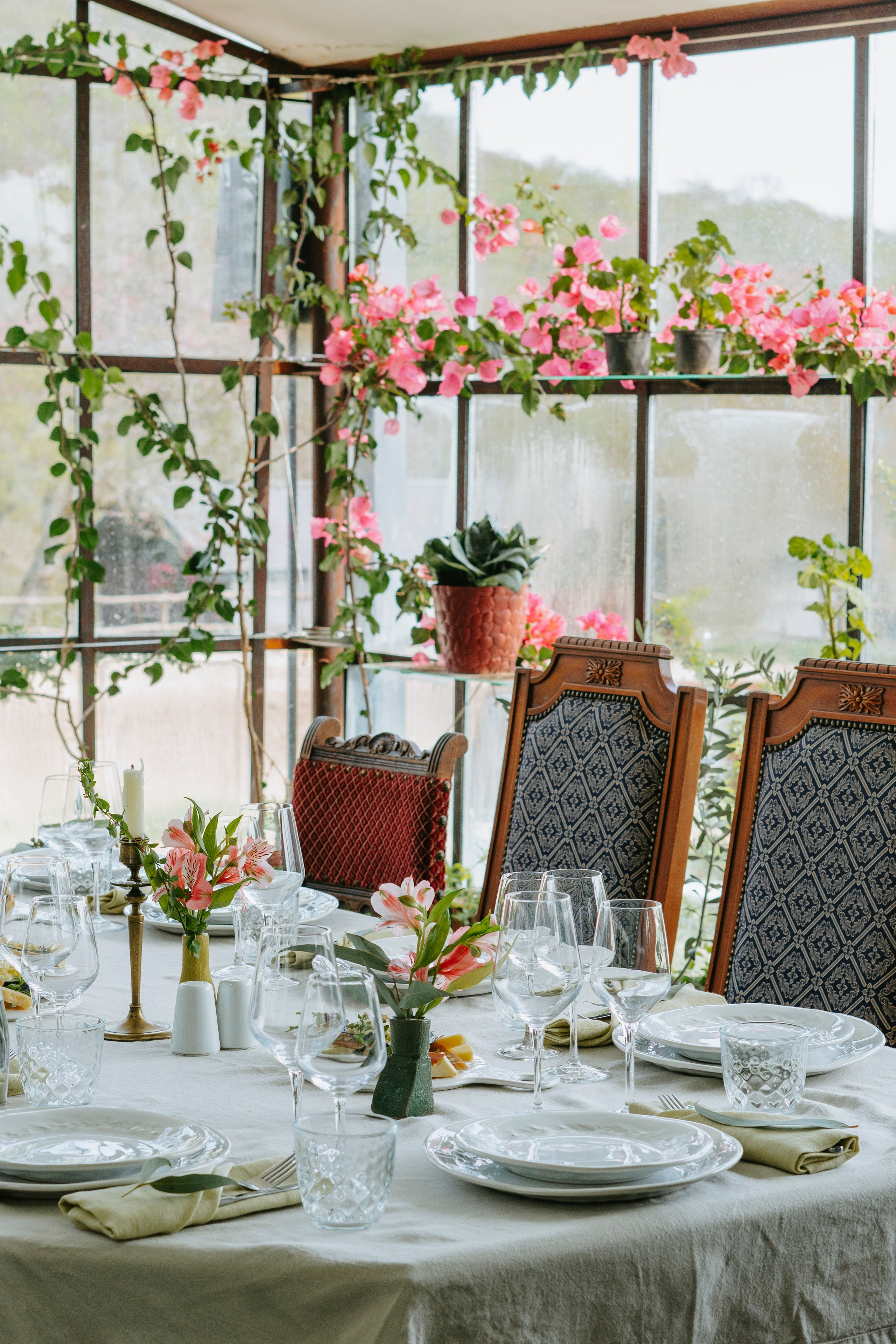 Food. Photographer and videographer for business in Tbilisi Catrine Poznyak