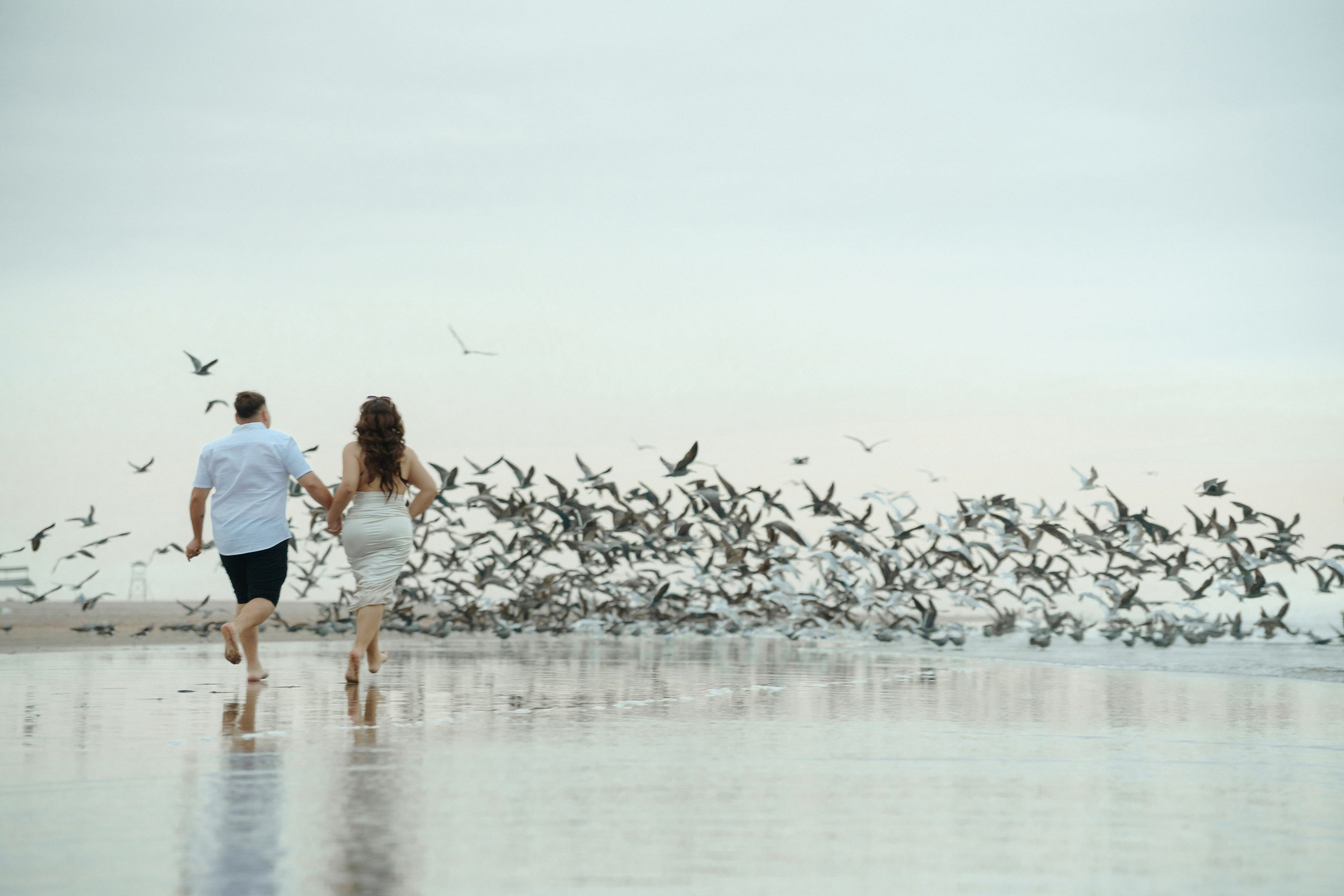 Maria Gracia & Bruno | Viñedo | Playa | Tacna, Perú. Lume Studio XV | Fotografía y Video de 15 Años en Tacna