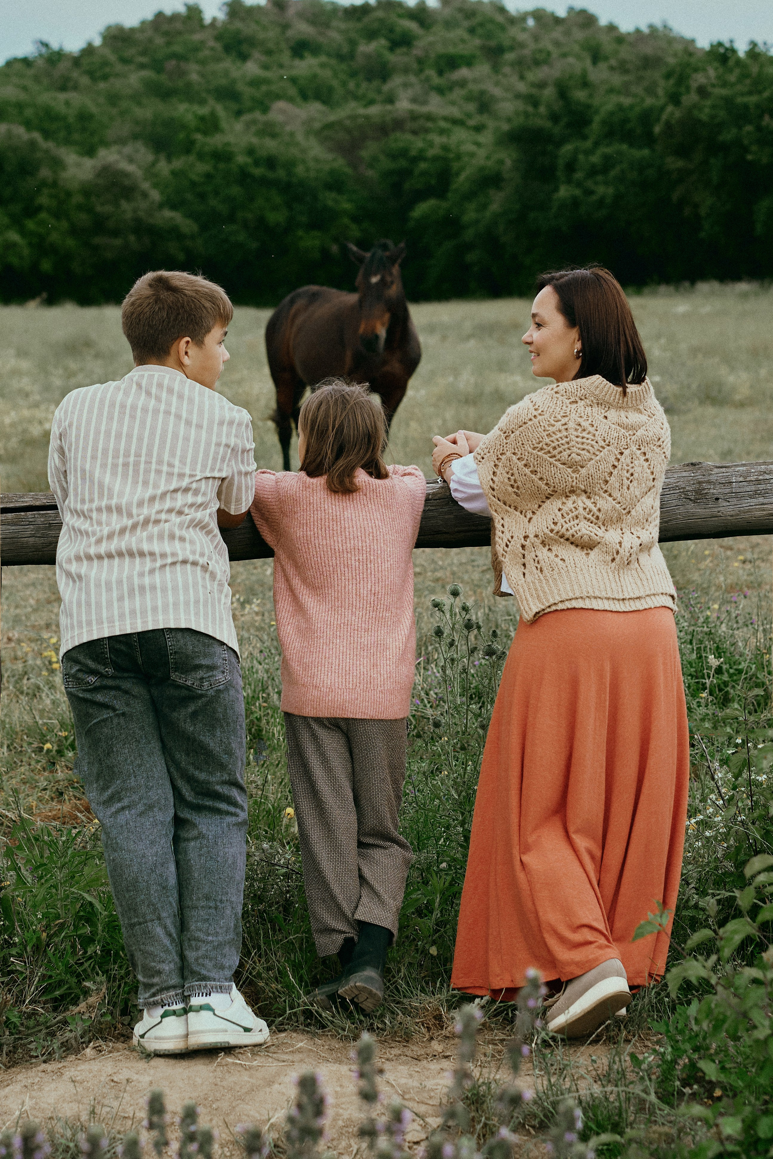 Летний день с лошадьми. Fotógrafa en España Zhanna Zakharchenko