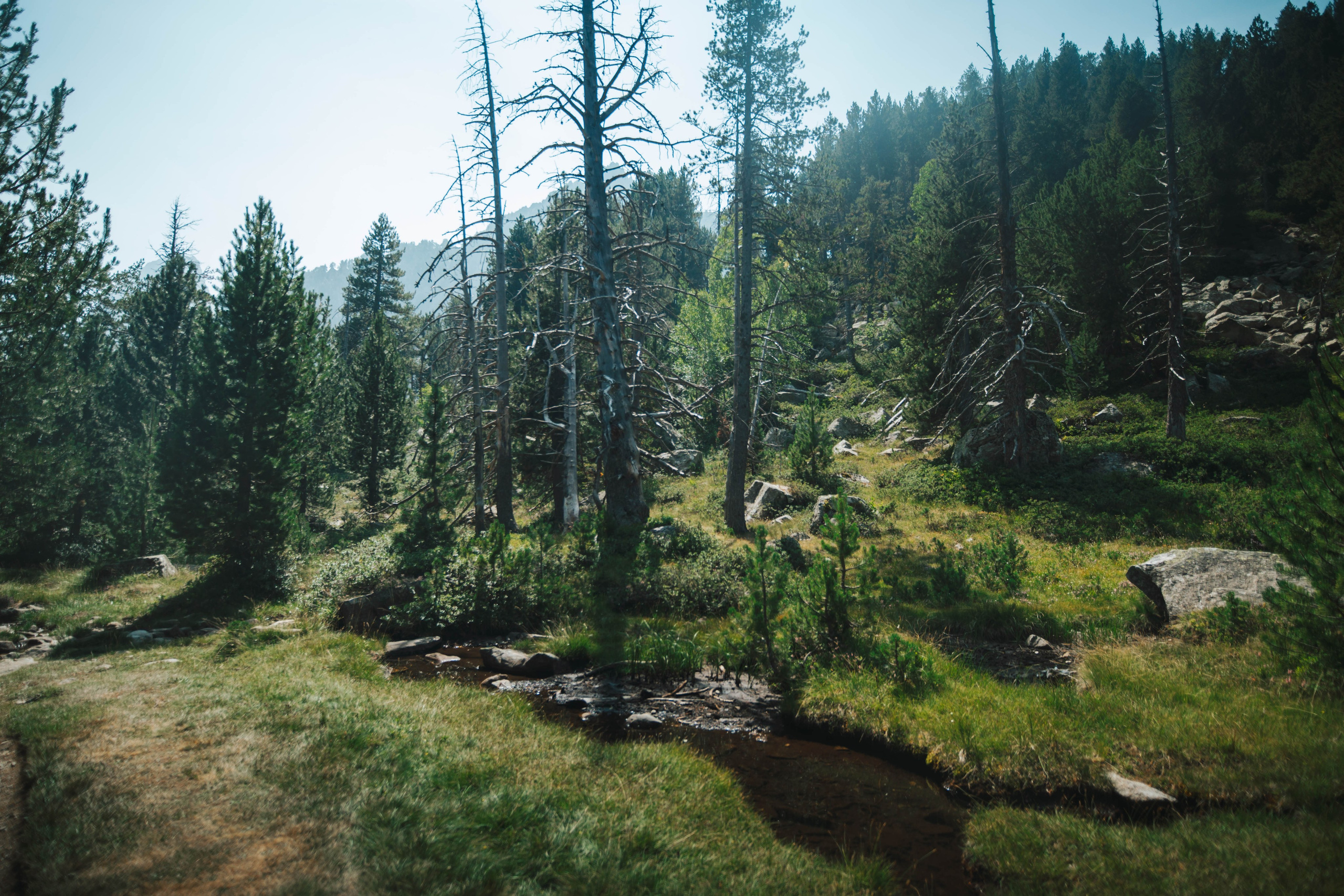 Parque Nacional de Aigüestortes y Estany de Sant Maurici. Alba del Norte Studio