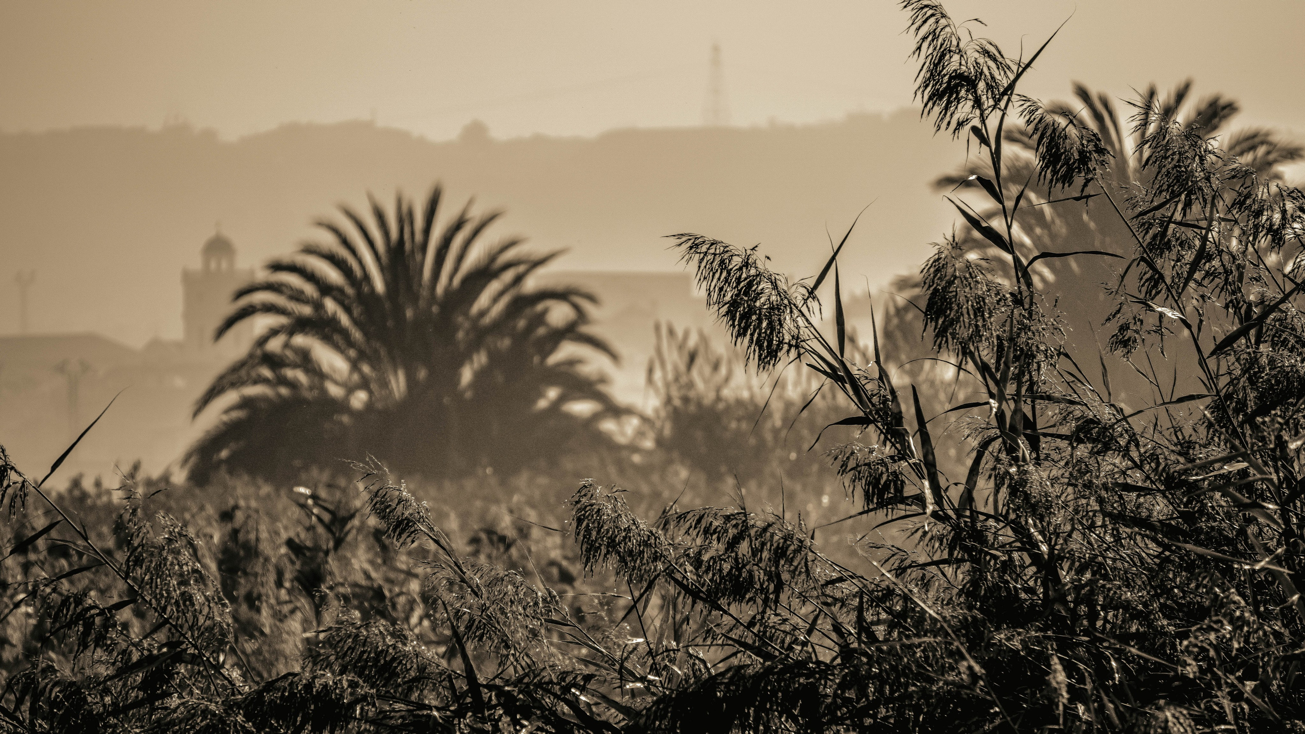 Rojales. Alba del Norte Studio