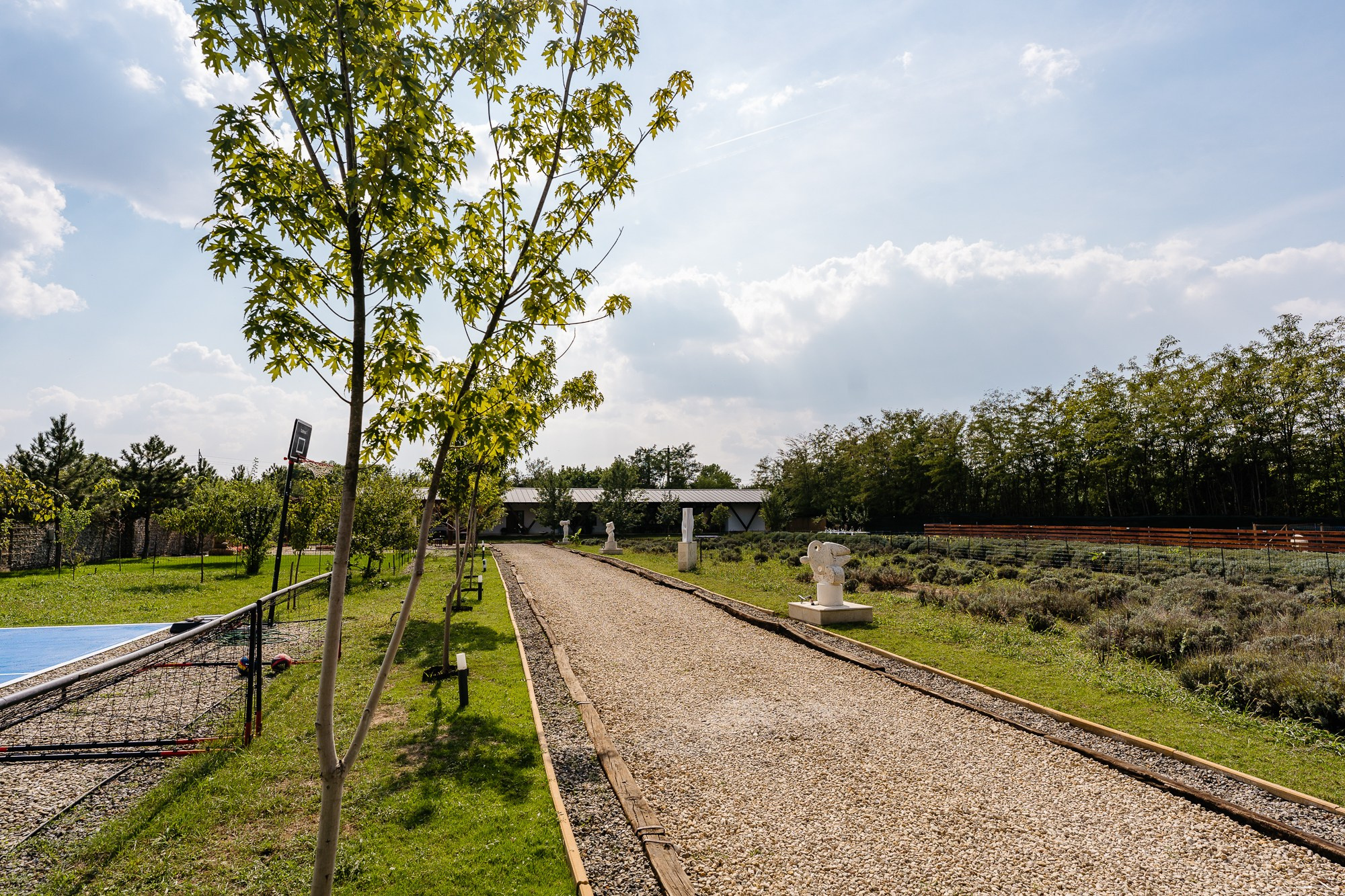 Fotografie Imobiliară Profesională | Birouri & Spații. Fotograf Corporate Business