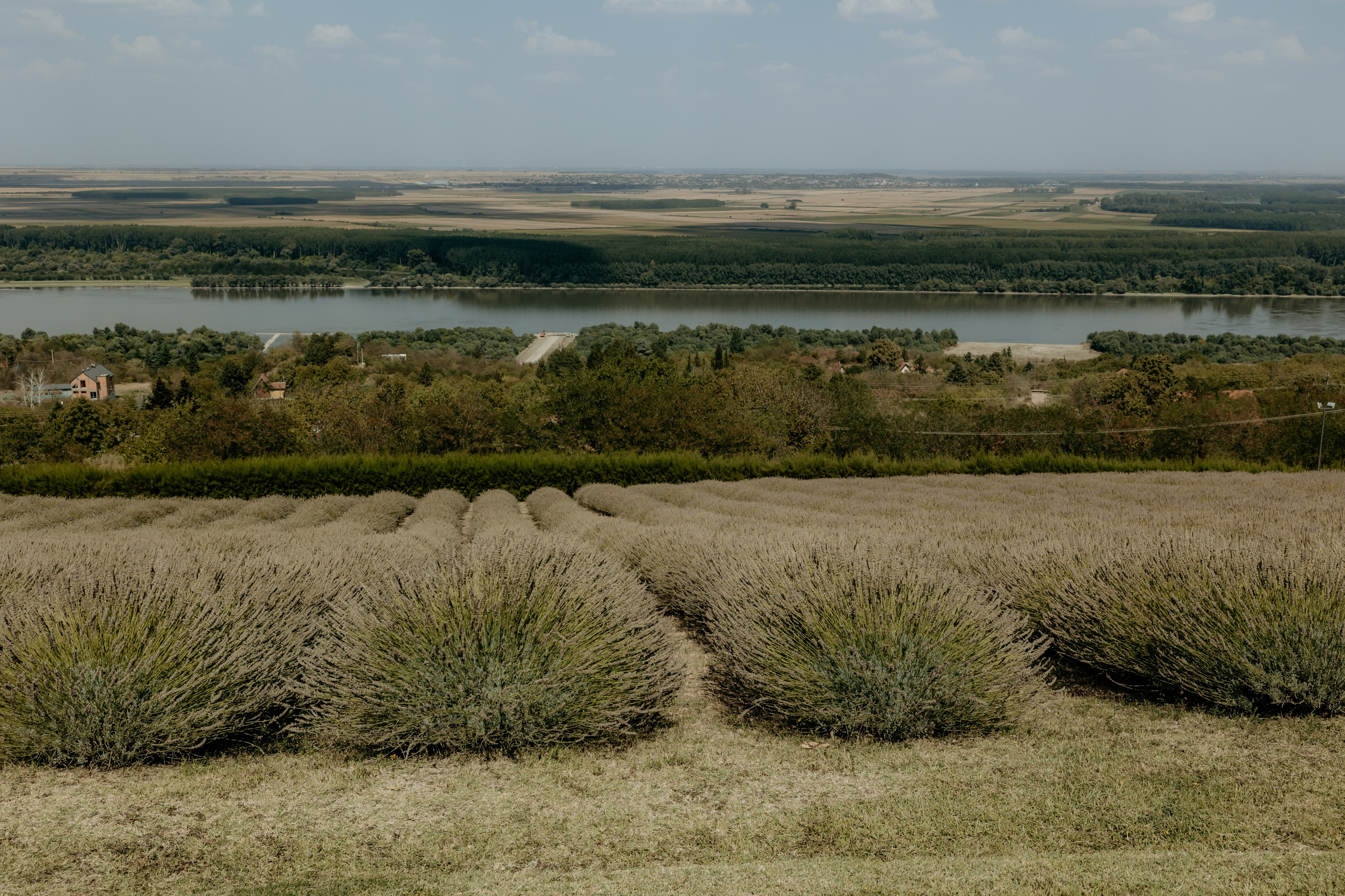 J&C Wedding. Family and children photographer in Belgrade Milja Ciric
