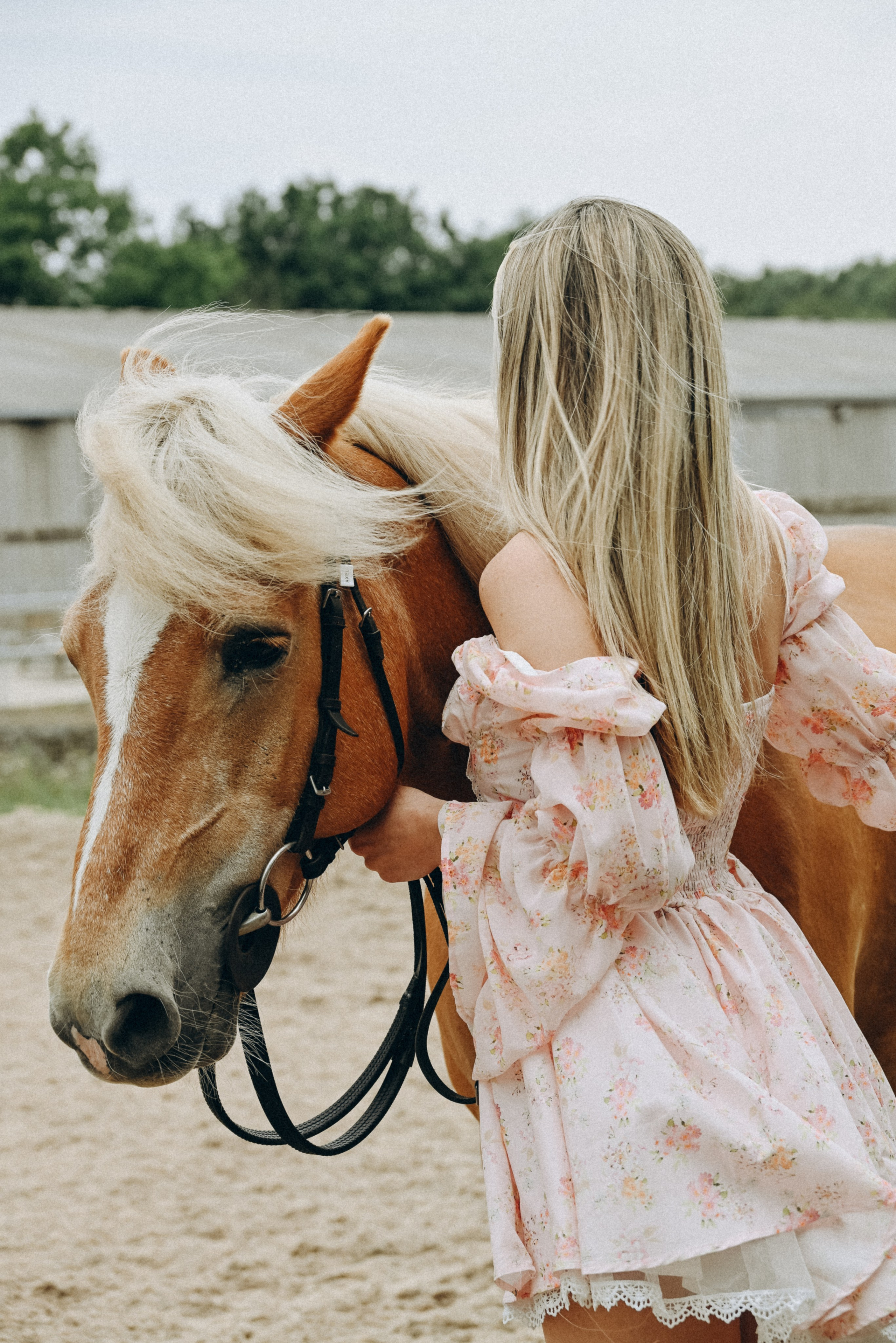 Portraits. Your local photographer