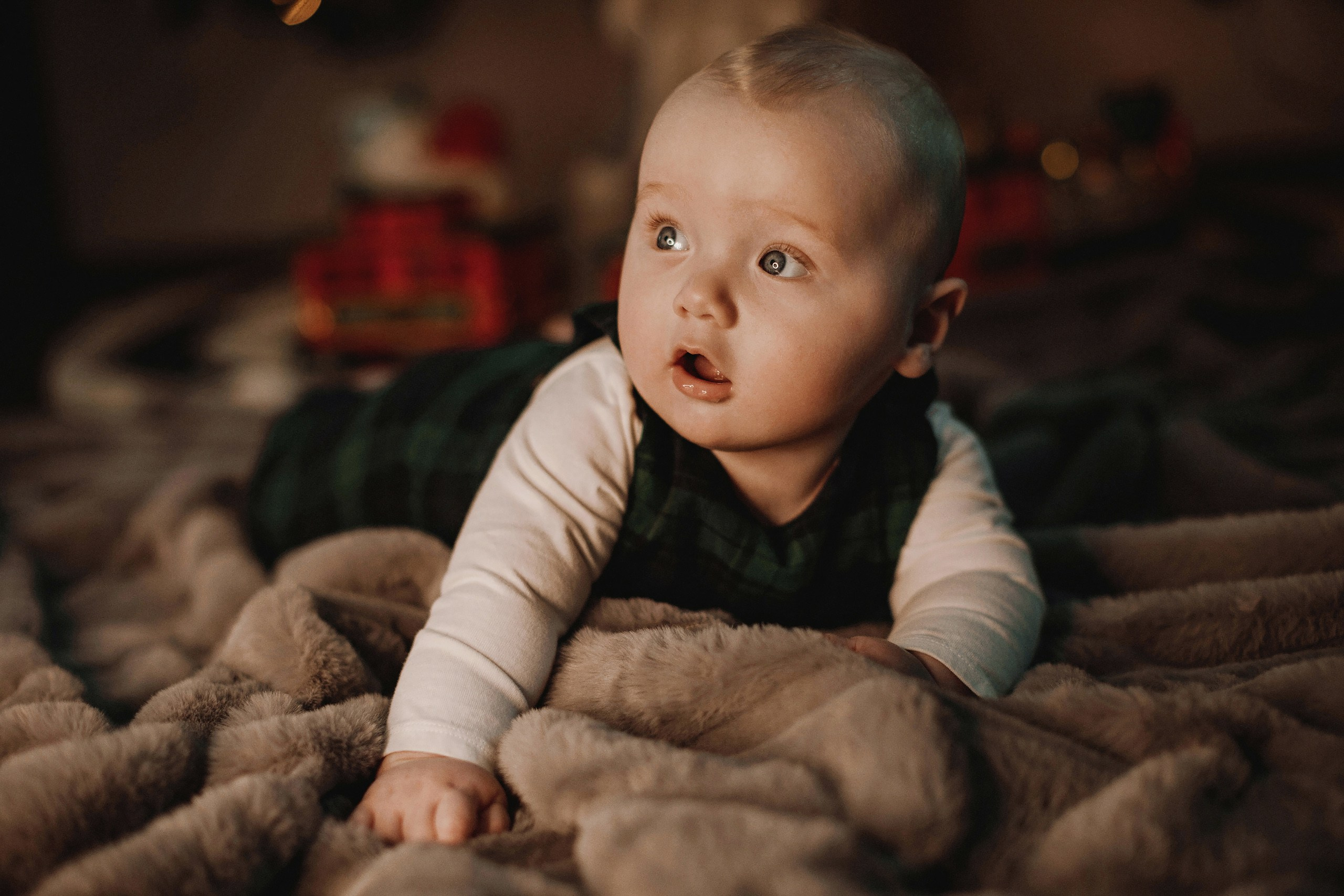 19.11.2023 Christmas Photoshoot. Wedding family event photographer in Chicago Nick Yushevich