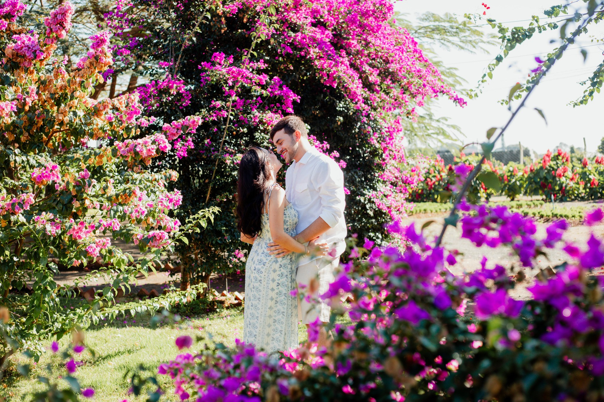 Pedido de casamento /Emilly e Yan. Joyce Maria Fotografia | Fotógrafa em Holambra