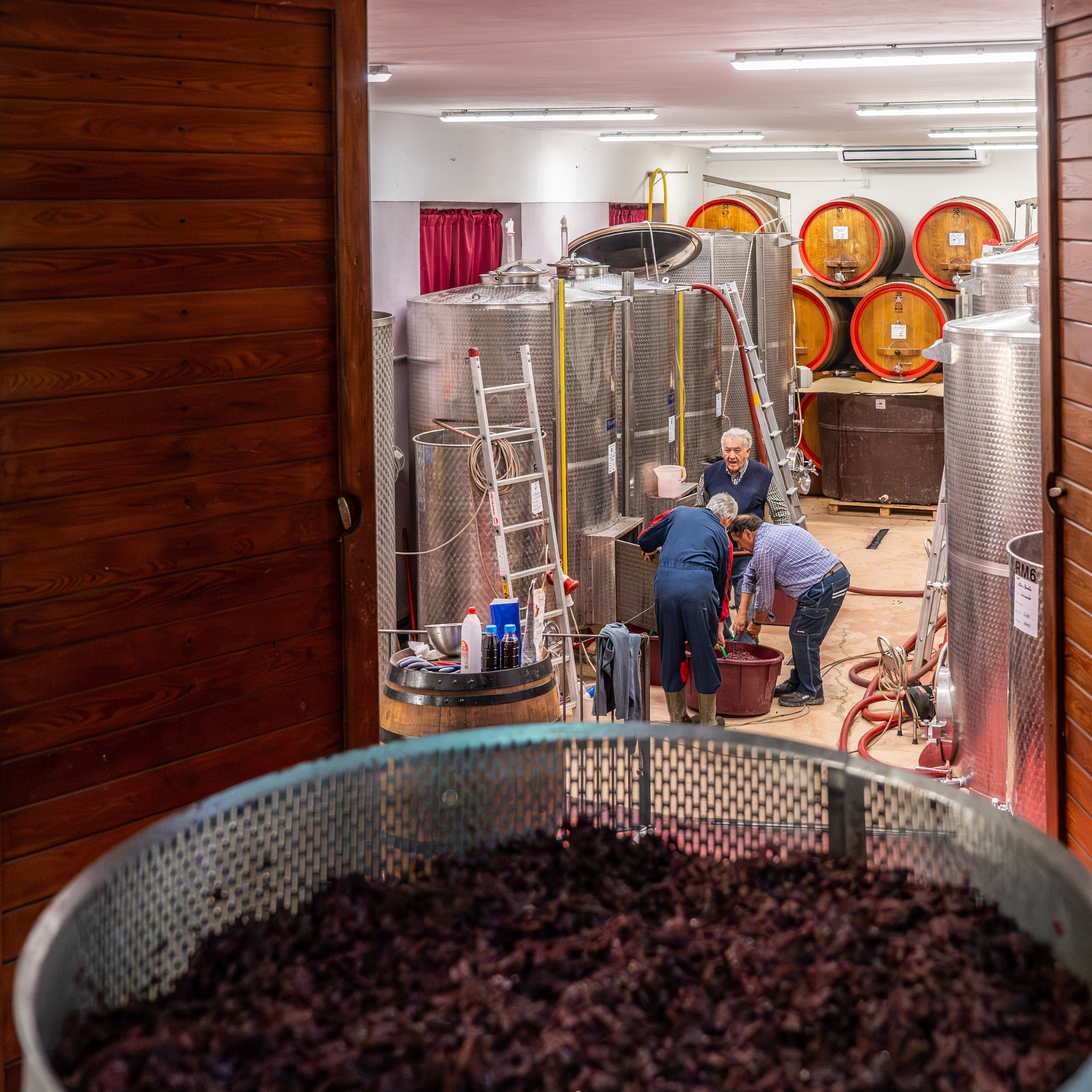 Cantine Boasso Serralunga. “Gianmaria Coscia fotografo per passione”