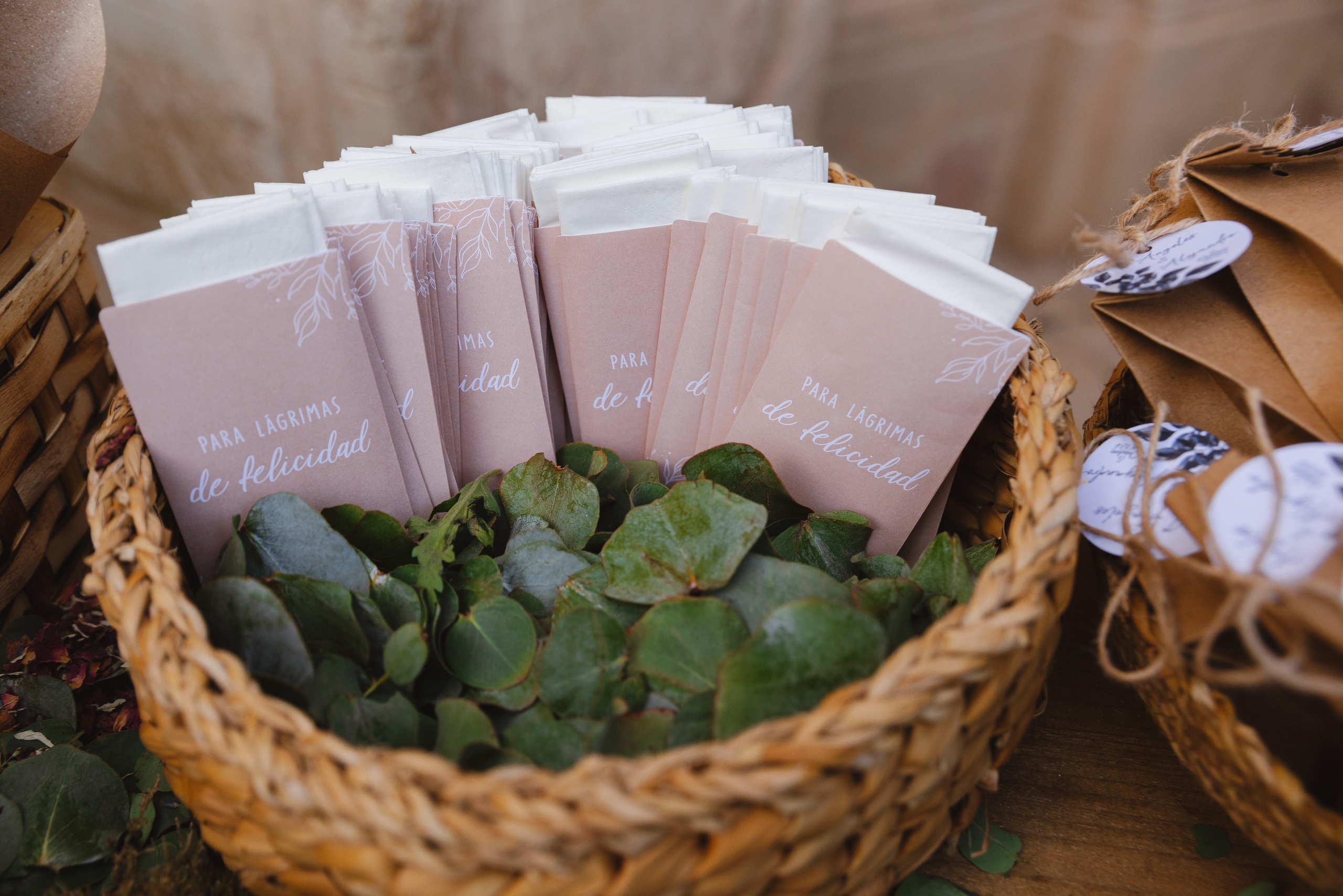 Mª ÁNGELES & ALEJANDRO. Fotógrafo y Videografo de bodas y eventos