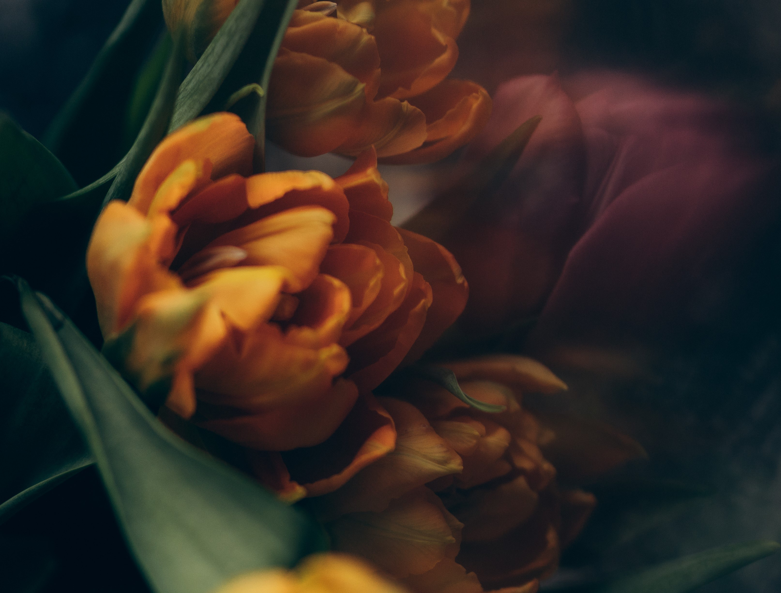 Flowers. Wedding and potrait photographer in Helsinki Vickan O