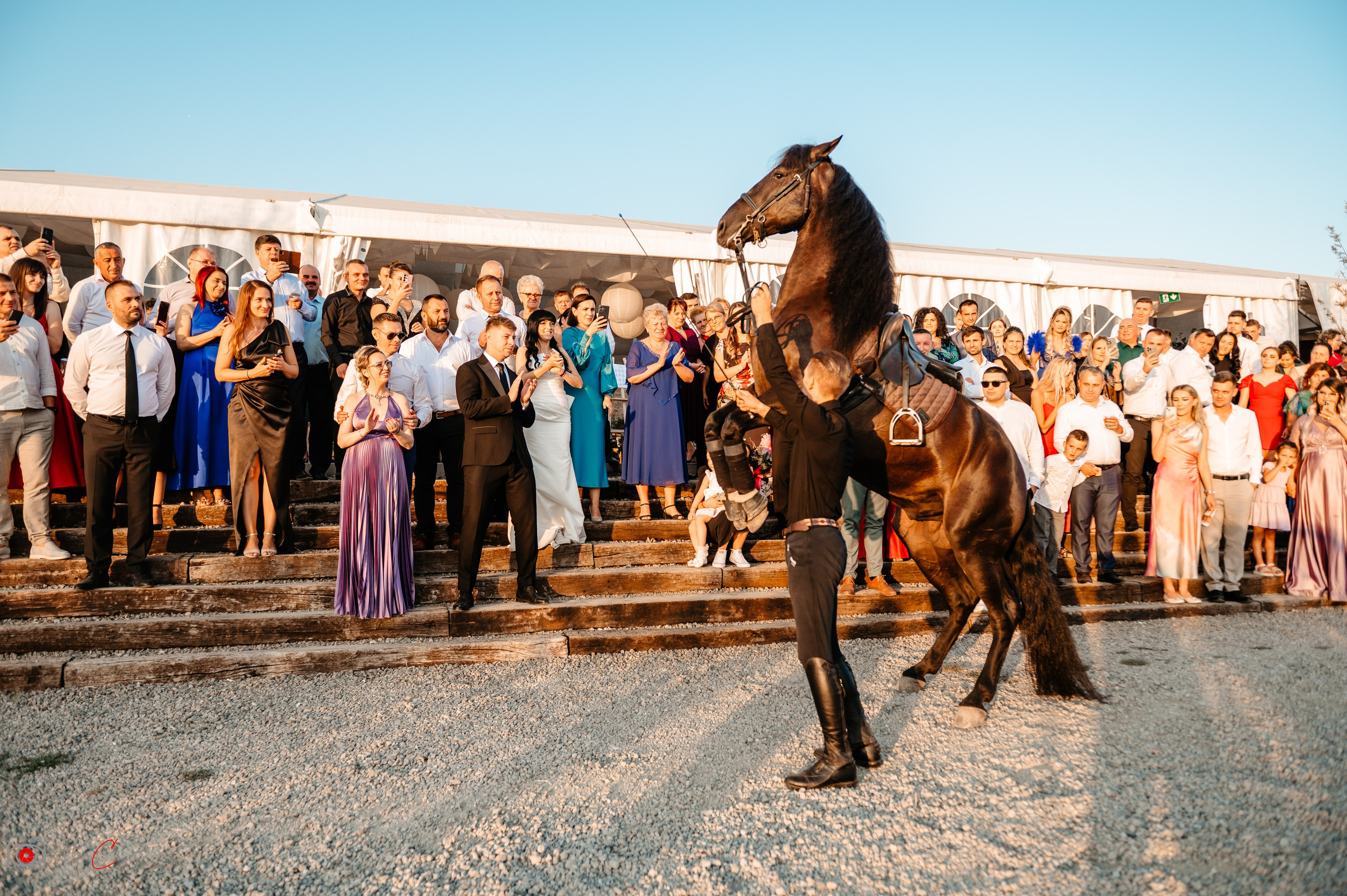 Monica & Dan. Fotograf de evenimente