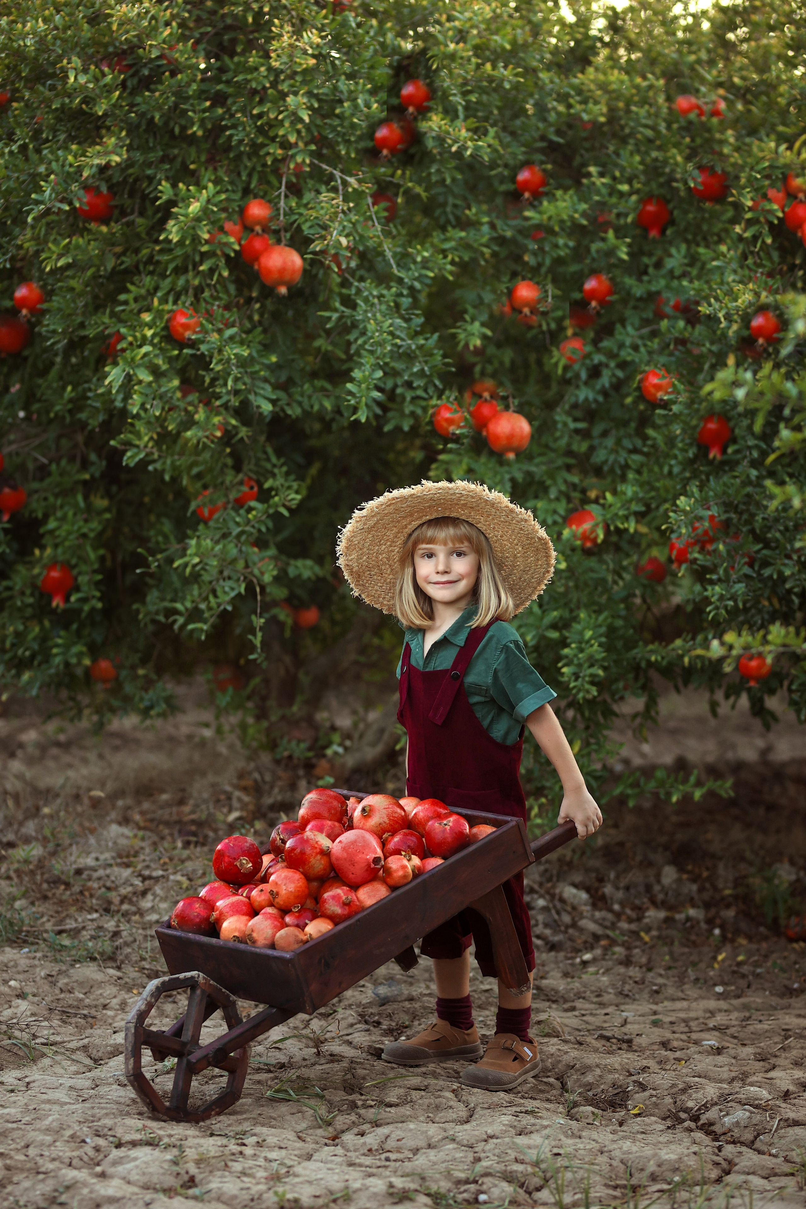 Photoshooting in pomegranate garden. Photographer in Turkey, Antalya, Kemer, Belek, Side, Kas, Fethiye