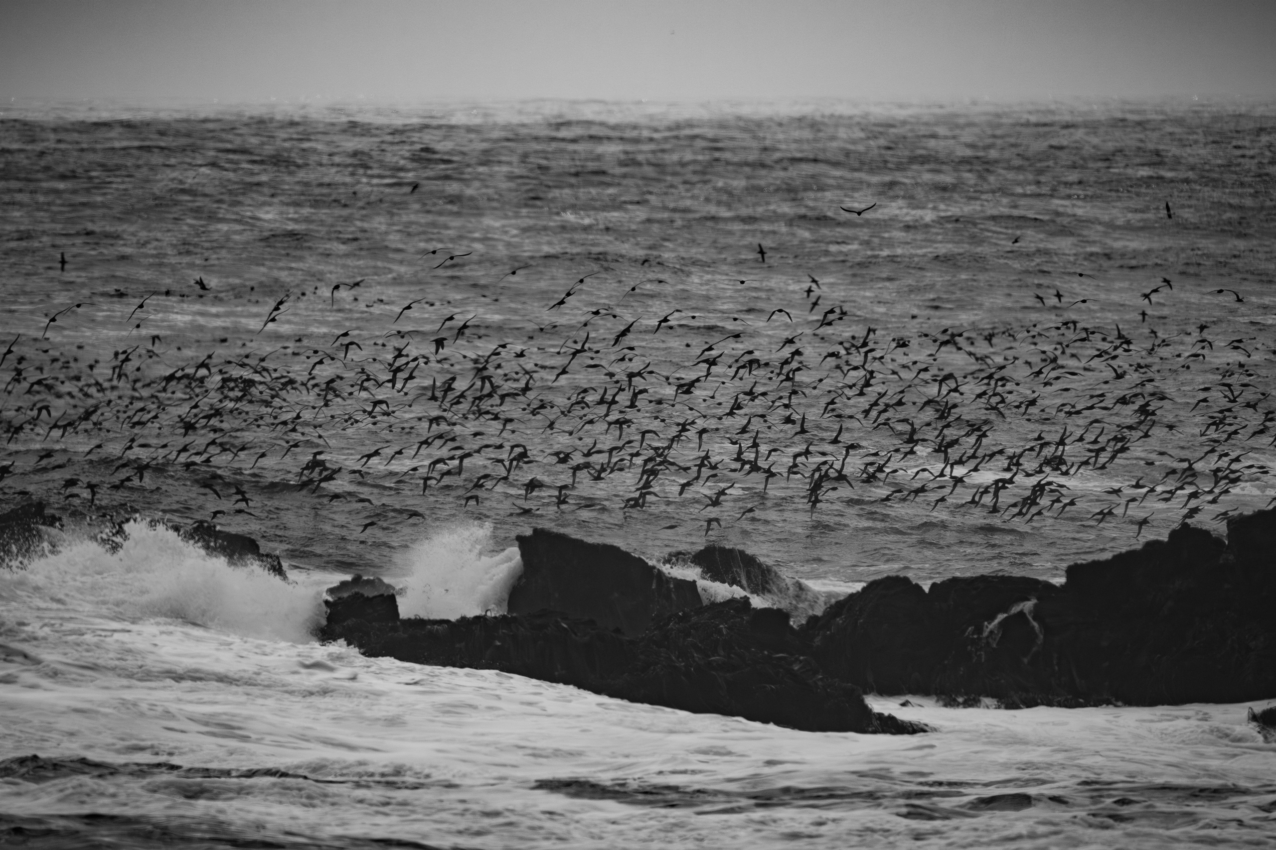 Nature photographer Yuri Soria-Galvarro