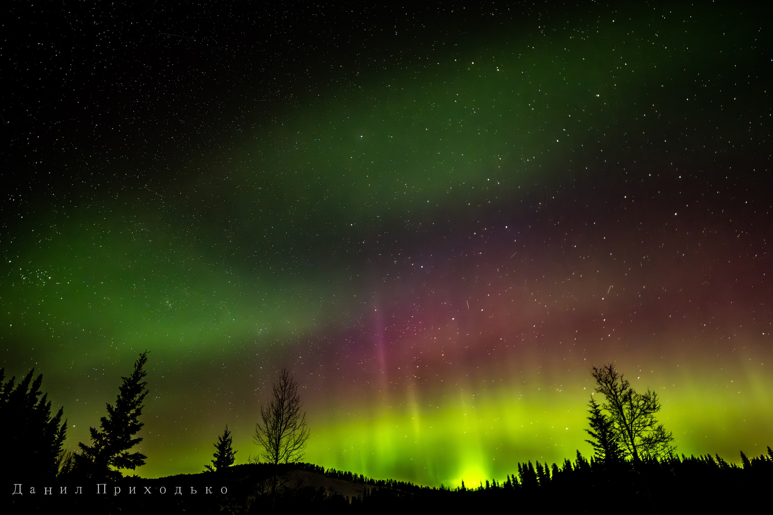 Danil Prikhodko Photography