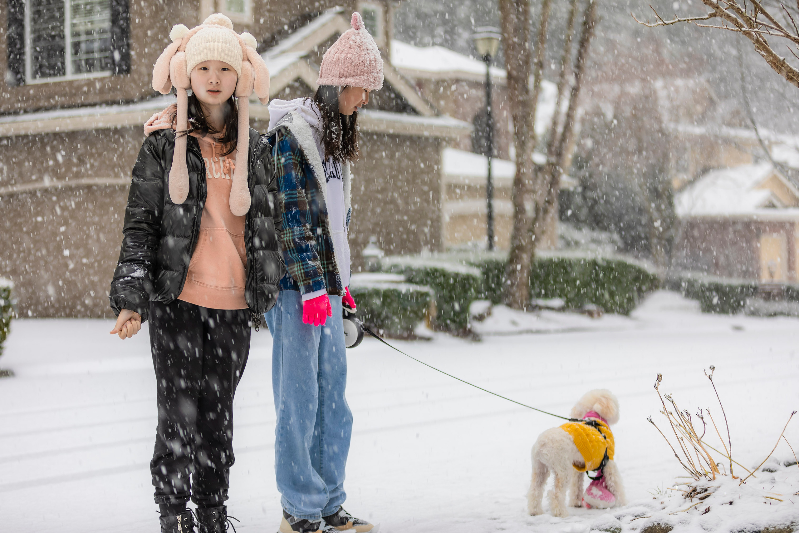 Life Style. Joanna Jin Photography