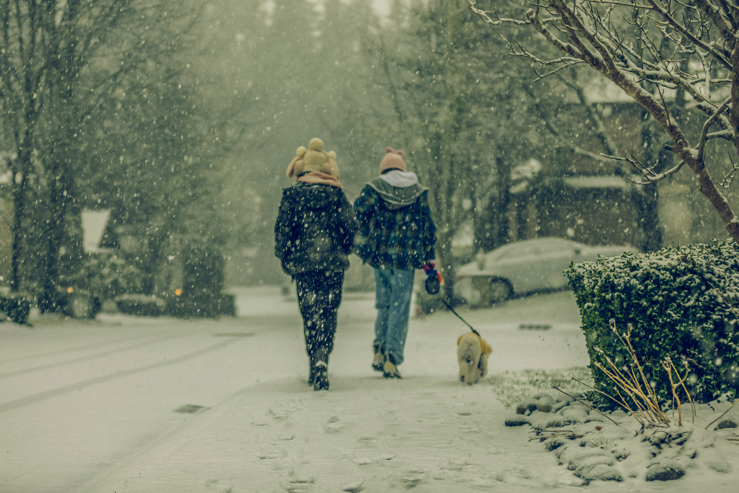 Life Style. Joanna Jin Photography