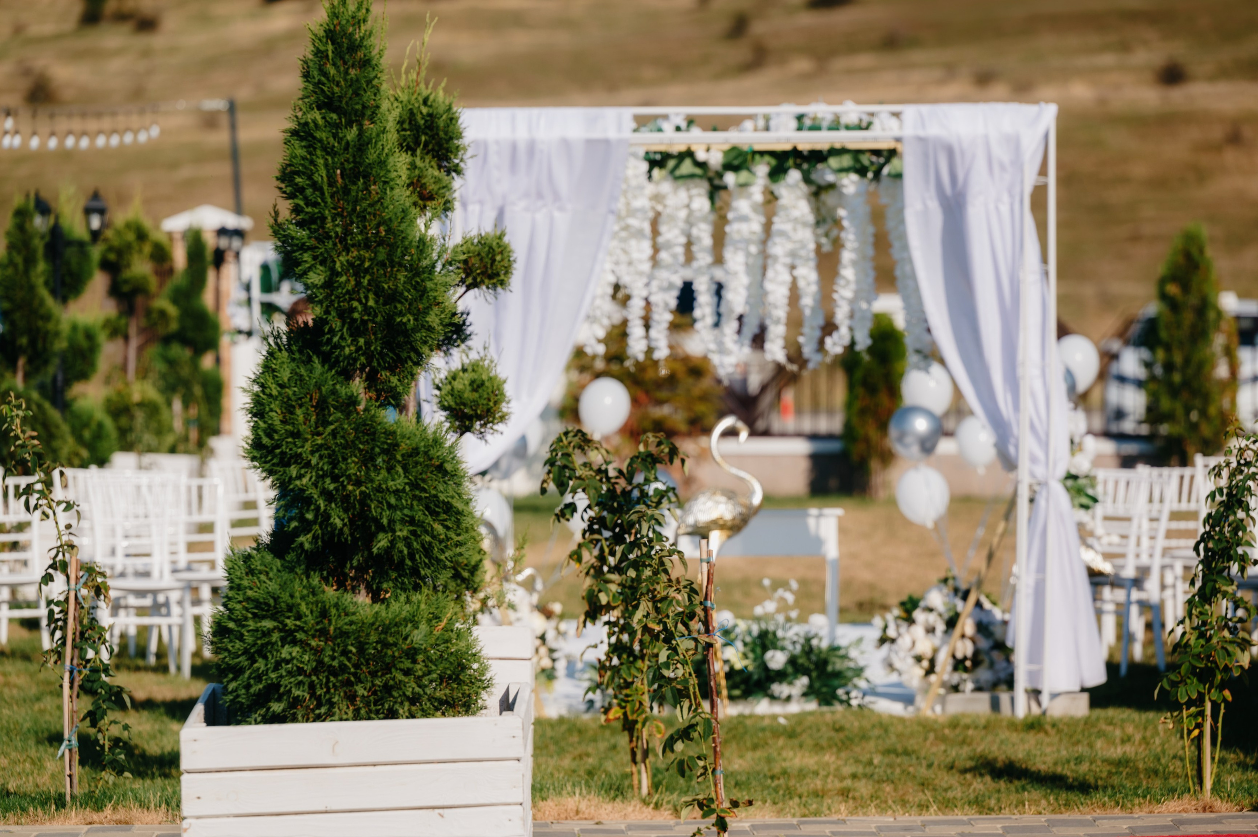 CUNUNIE Adelina si Alexandru. Laurentiu Stefan StoryTeller