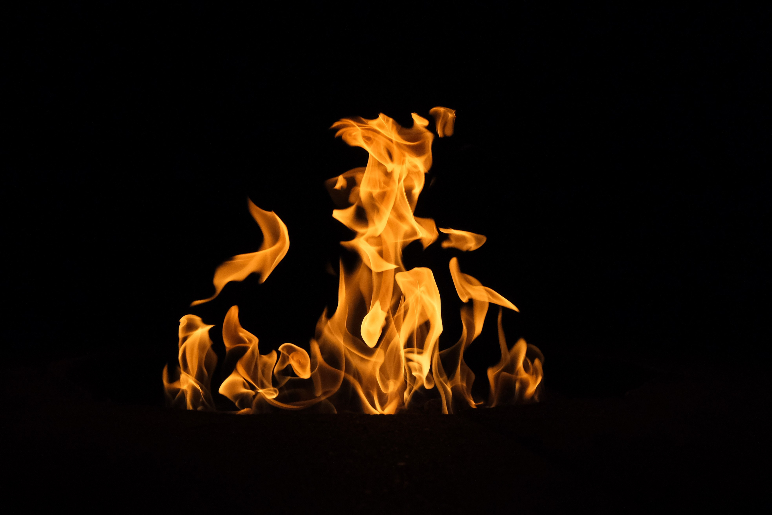 VATRA. Reportage concert portrait photography in the San Francisco Bay Area