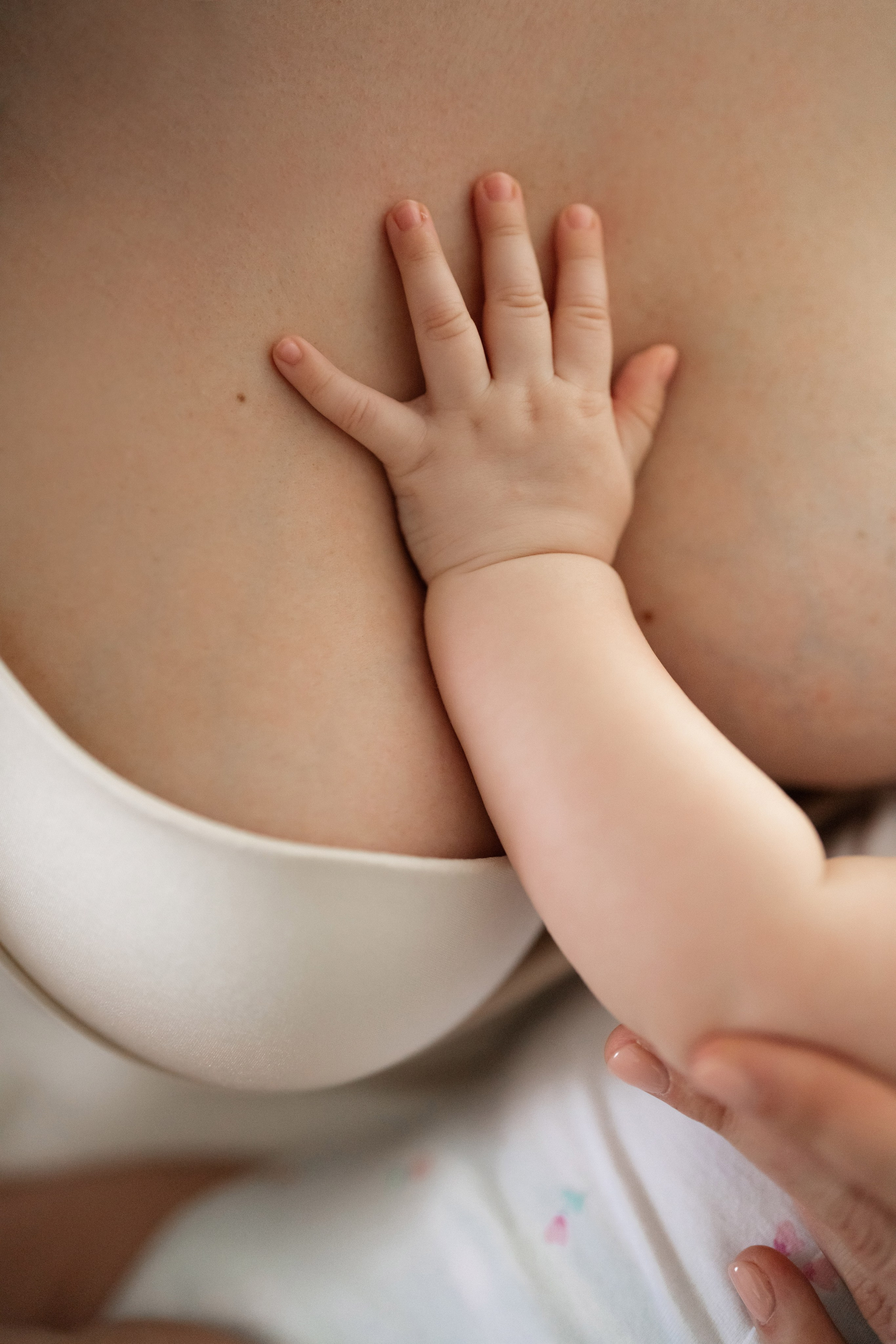 Adele Mari. Studio Timis