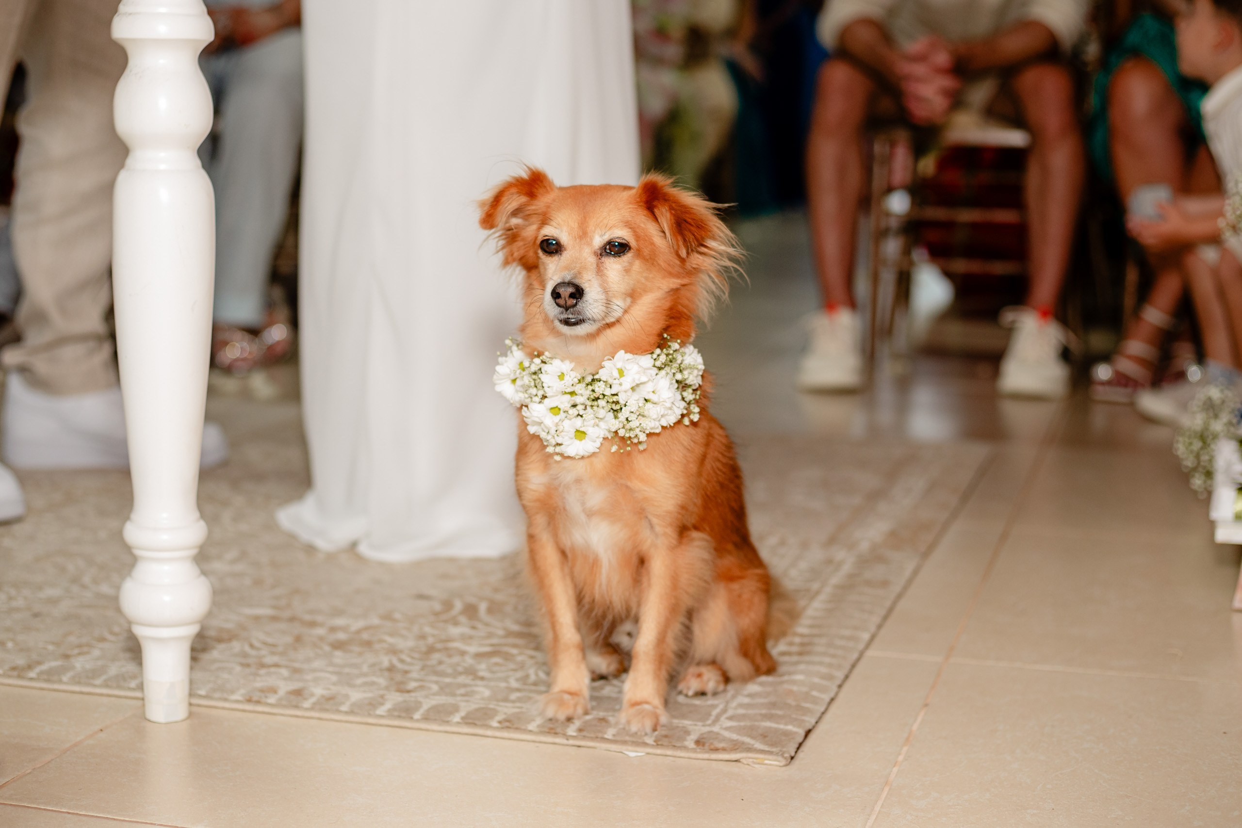 Cerimônia de casamento intimista em Bombinhas — Sarah e Eduardo