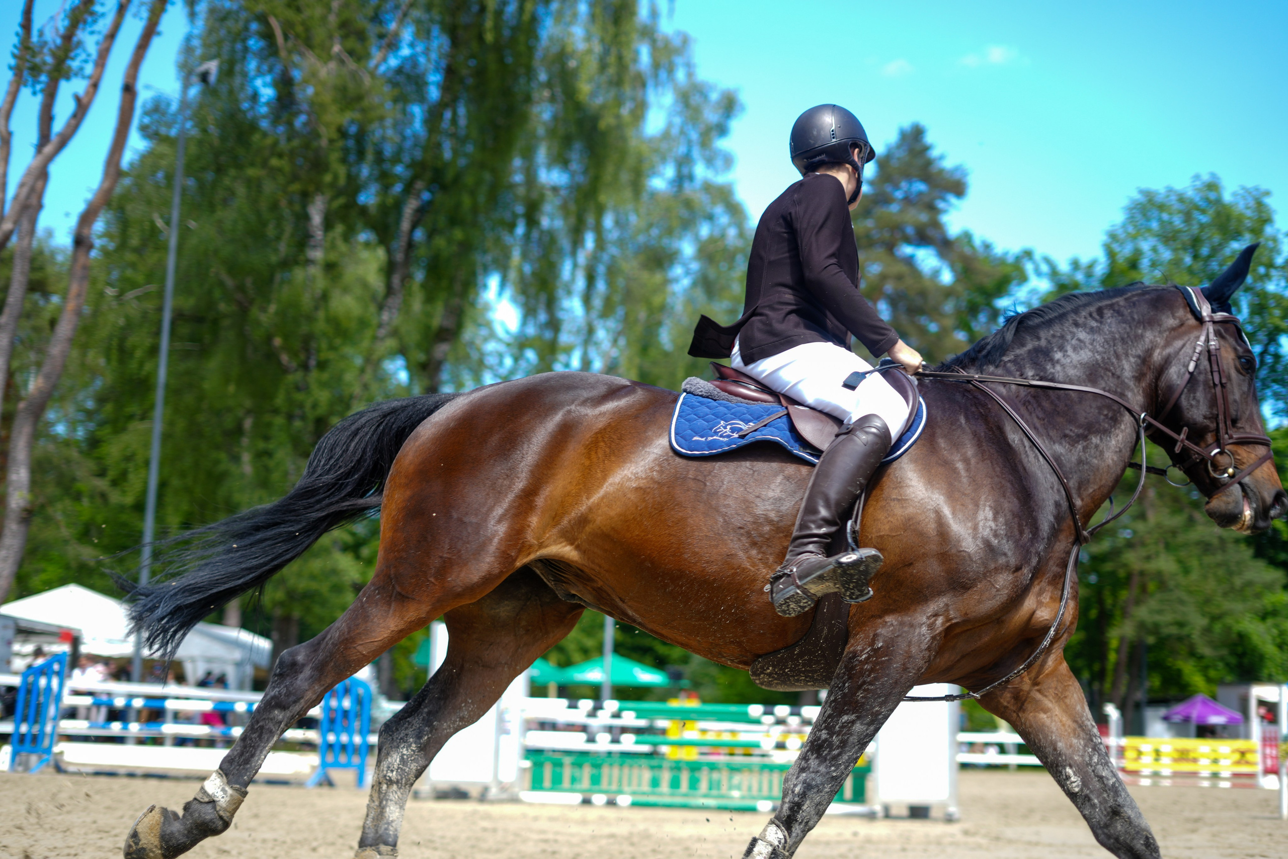 Equestrian Competition