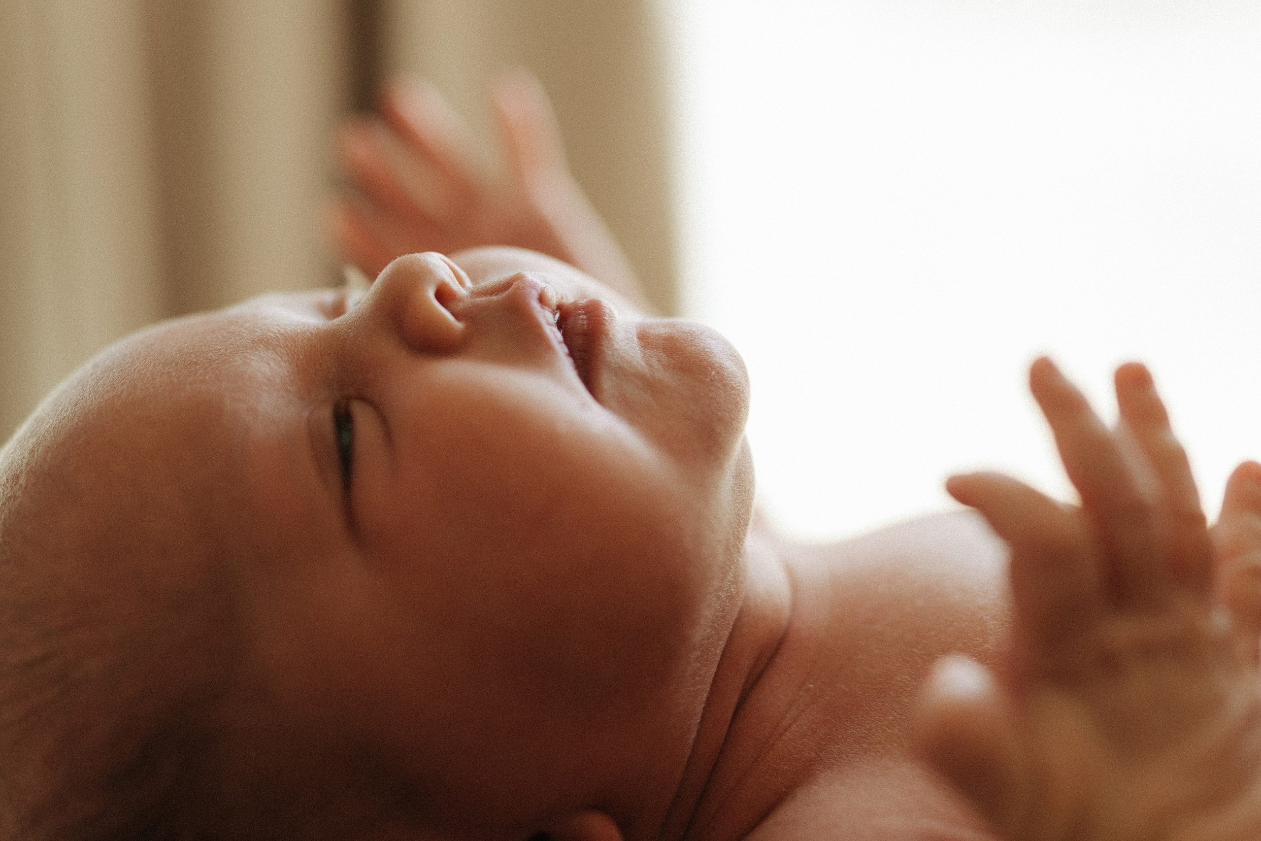 Emily, Kyle, Kinsley. Wedding and family photographer and videographer PA, NJ, NY, DE, MD