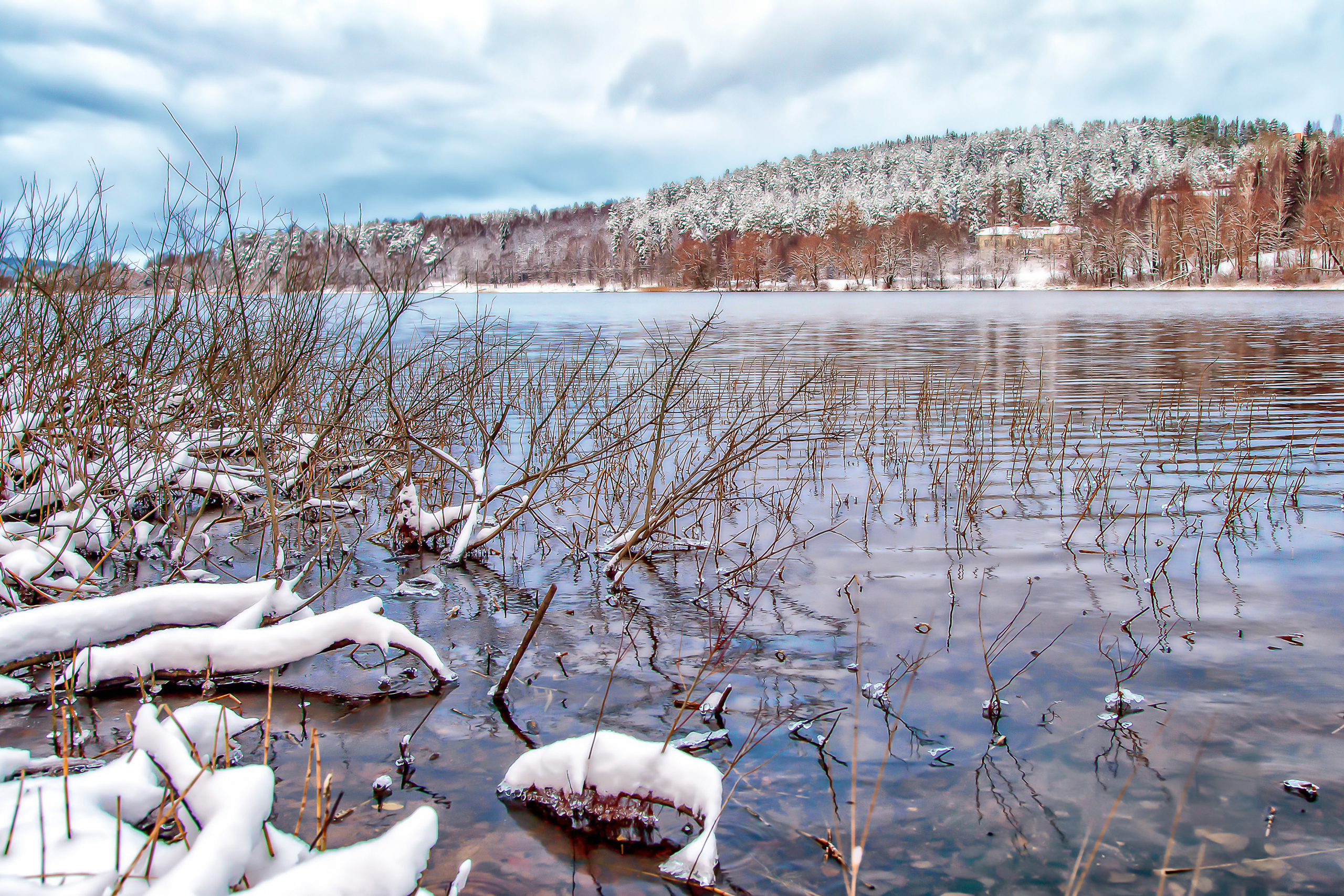 Nature and City. Kinosura Creative Studio in Helsinki and Kuopio