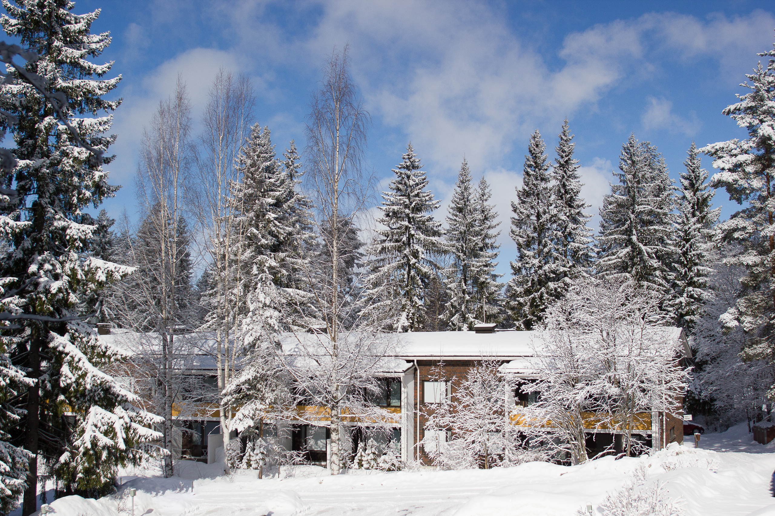 Nature and City. Kinosura Creative Studio in Helsinki and Kuopio