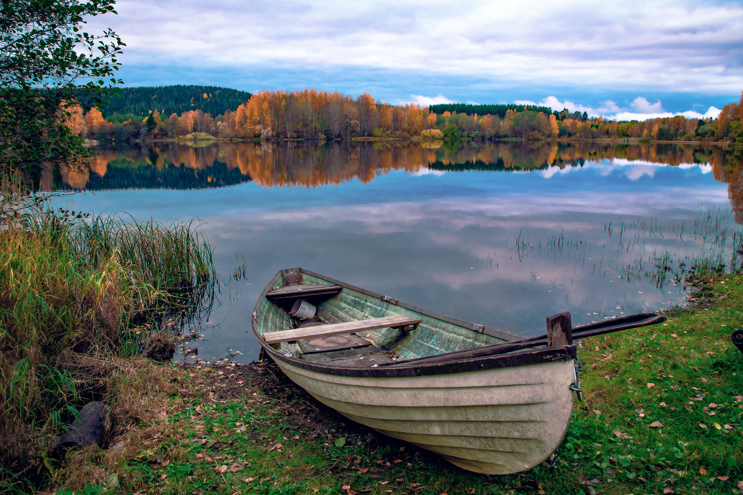 Nature and City. Kinosura Creative Studio in Helsinki and Kuopio