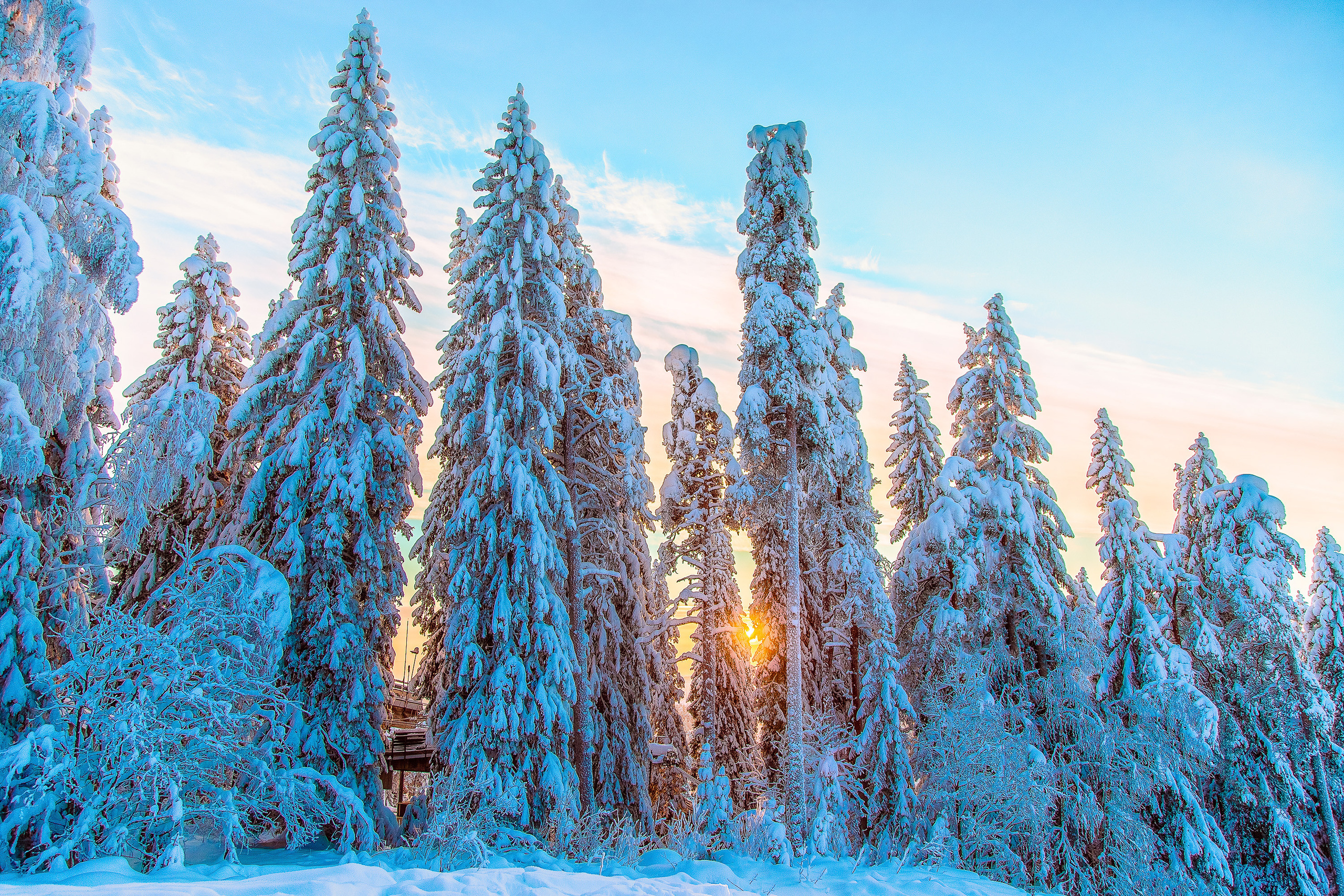 Nature and City. Kinosura Creative Studio in Helsinki and Kuopio