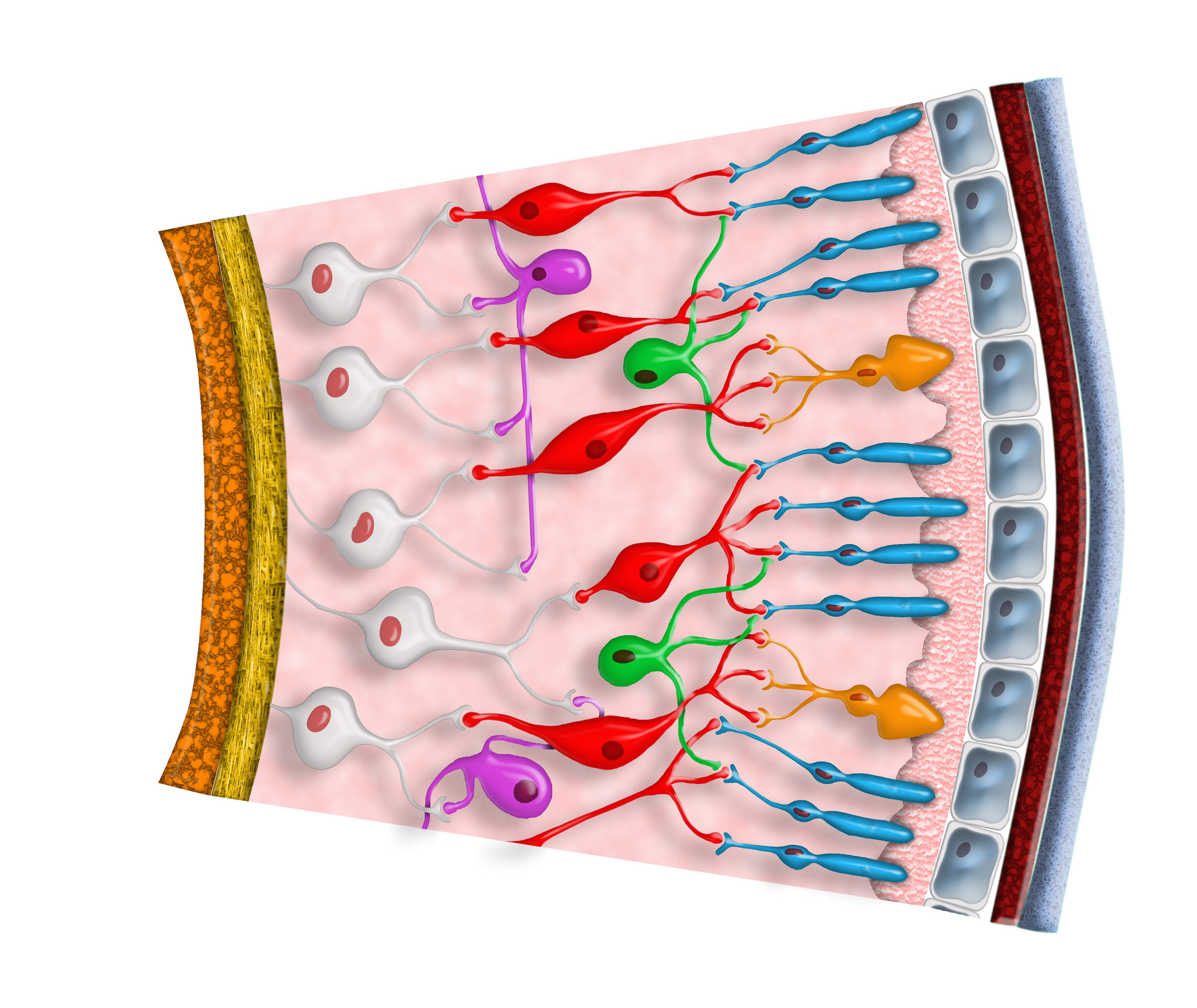 Graphic Design. Kinosura Creative Studio in Helsinki and Kuopio