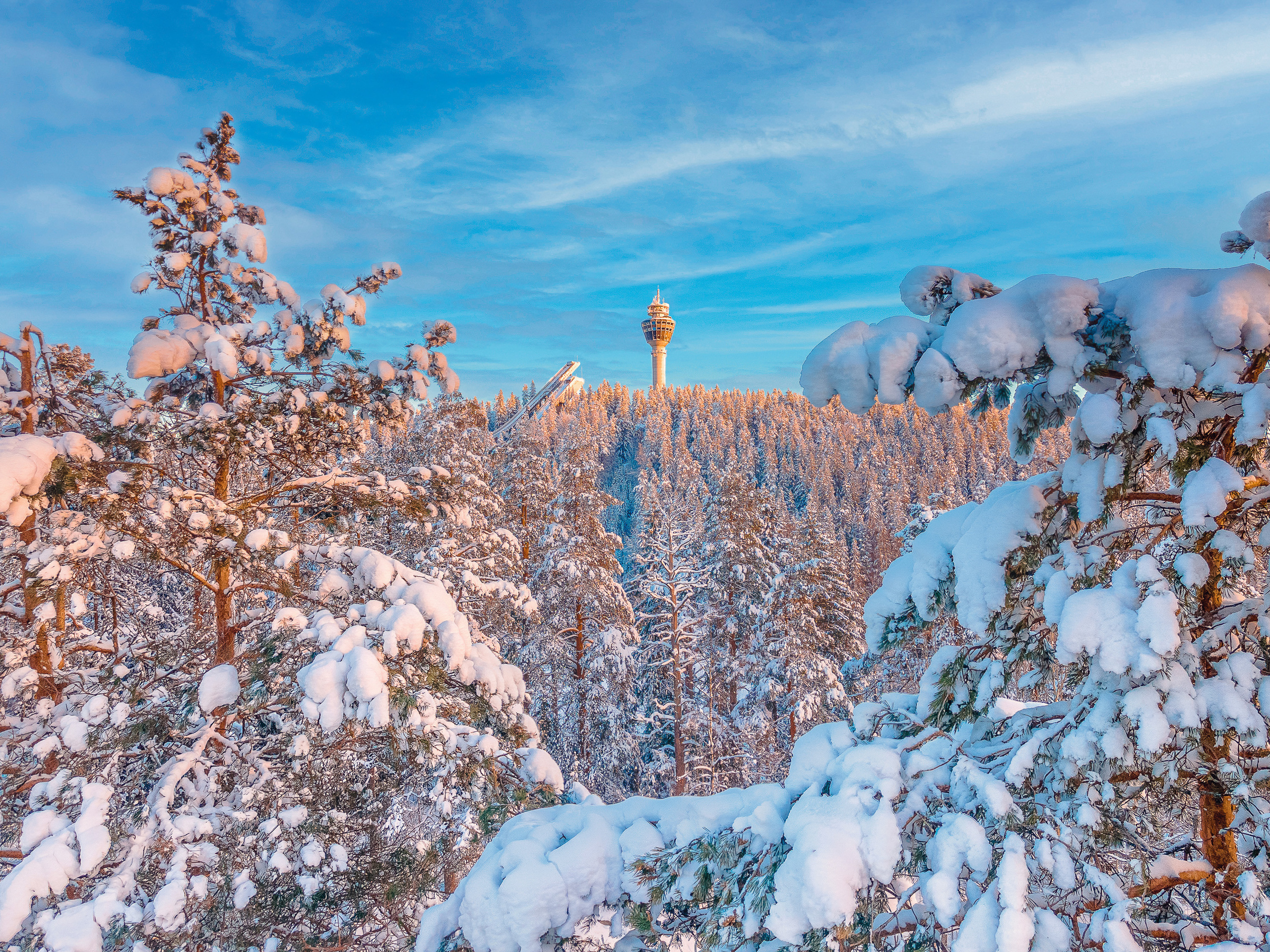 Nature and City. Kinosura Creative Studio in Helsinki and Kuopio