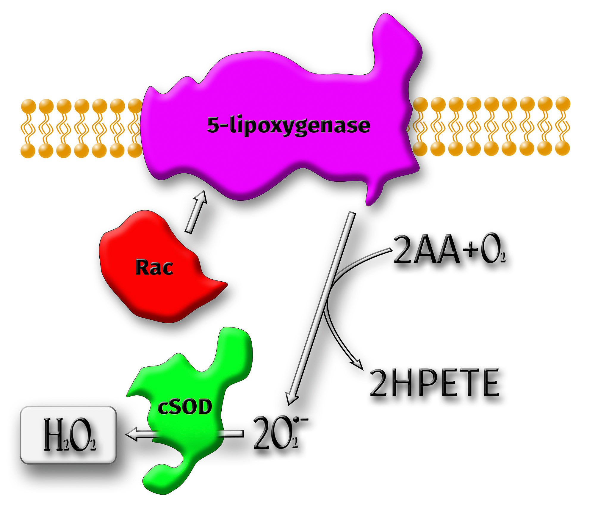 Graphic Design. Kinosura Creative Studio in Helsinki and Kuopio