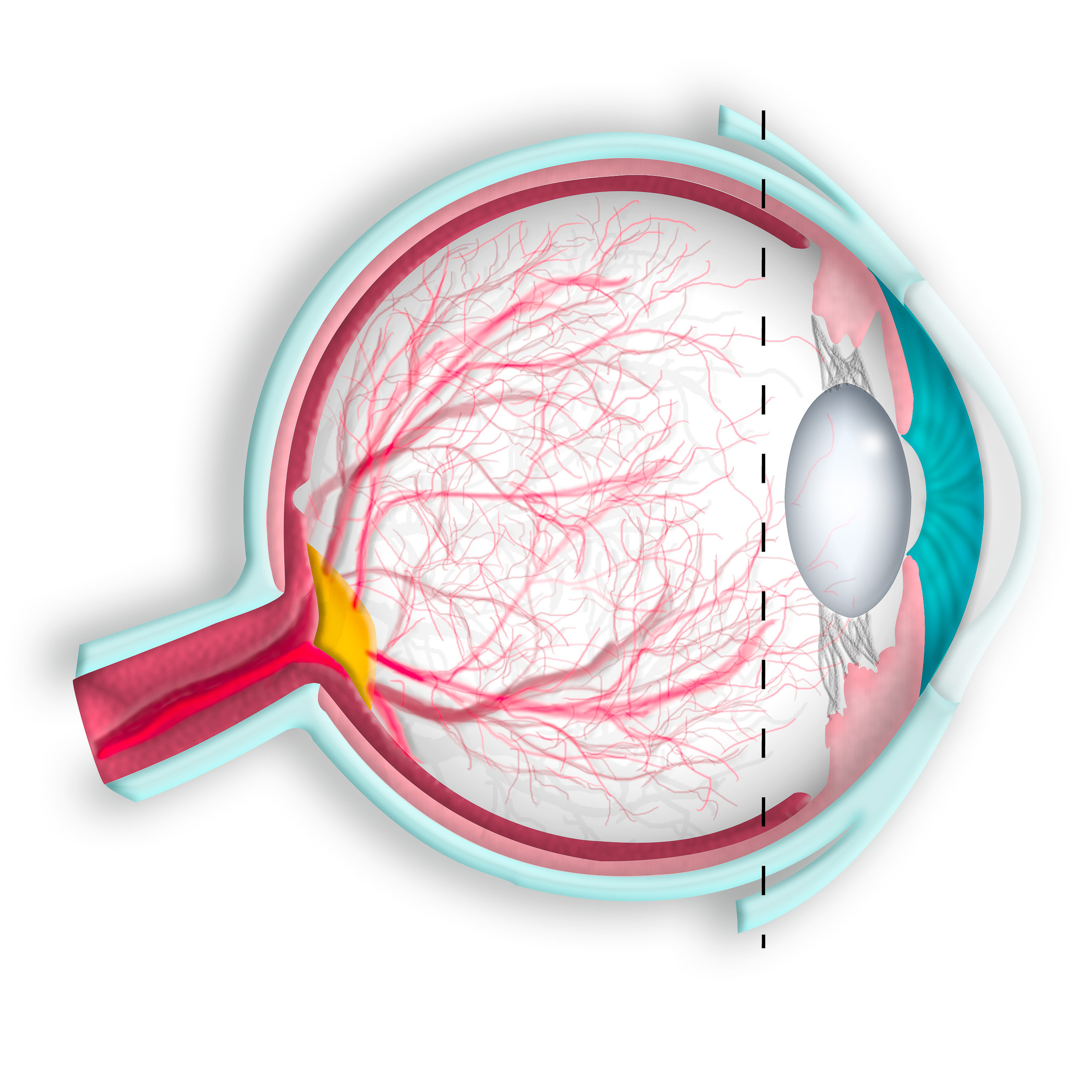 Graphic Design. Kinosura Creative Studio in Helsinki and Kuopio