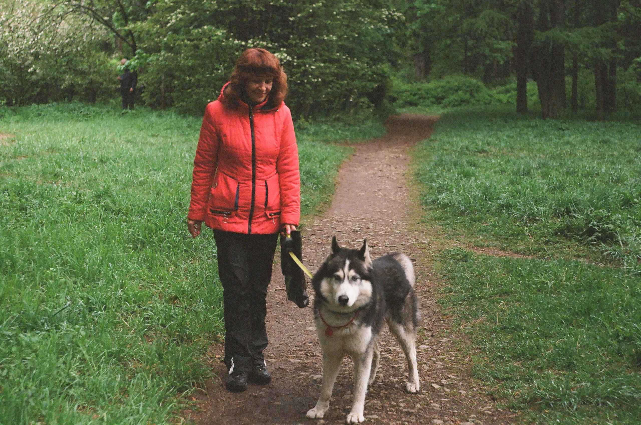 Animals. Elena Zykova film photographer in London