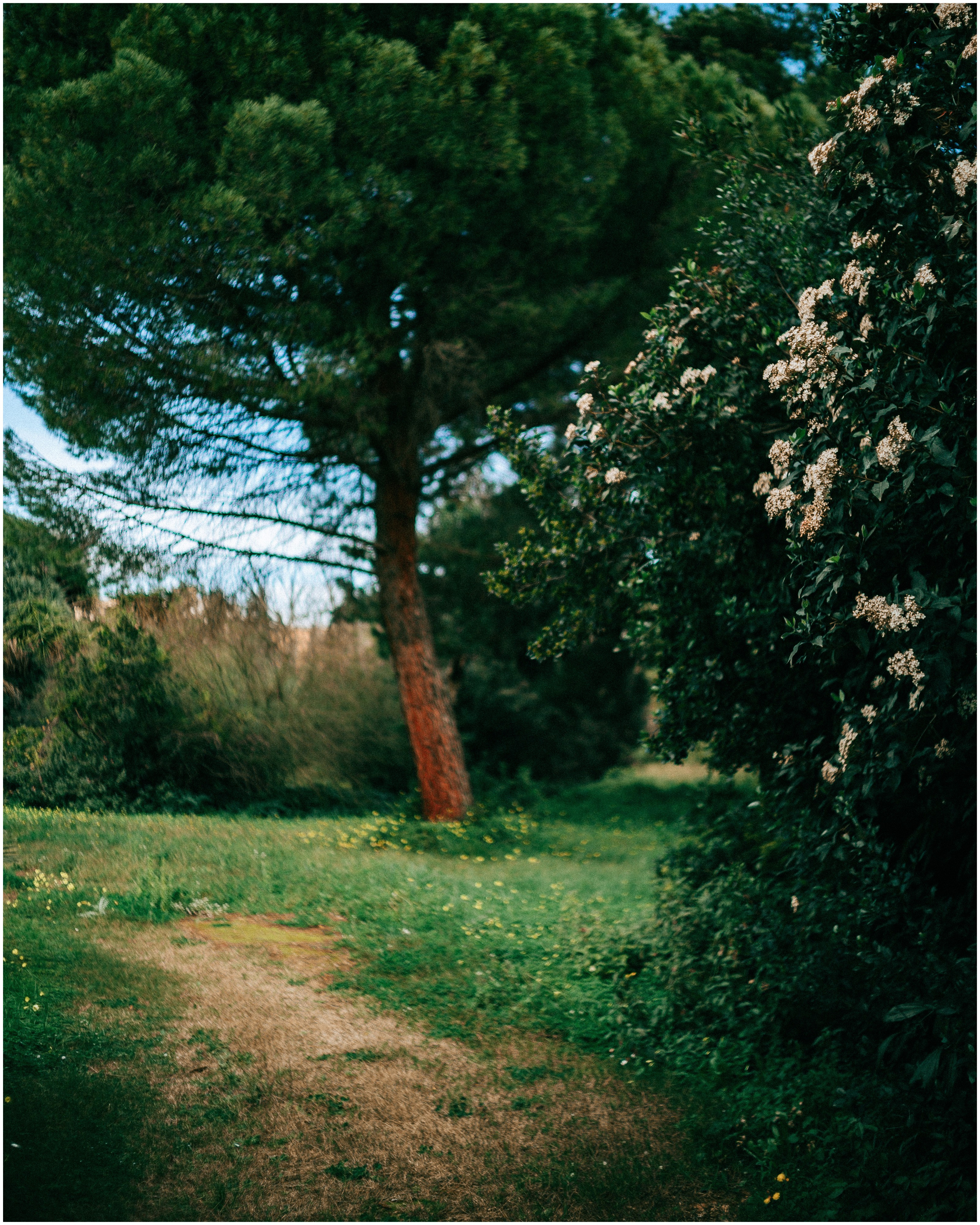 PALERMO. Photographer Inna Mendelson
