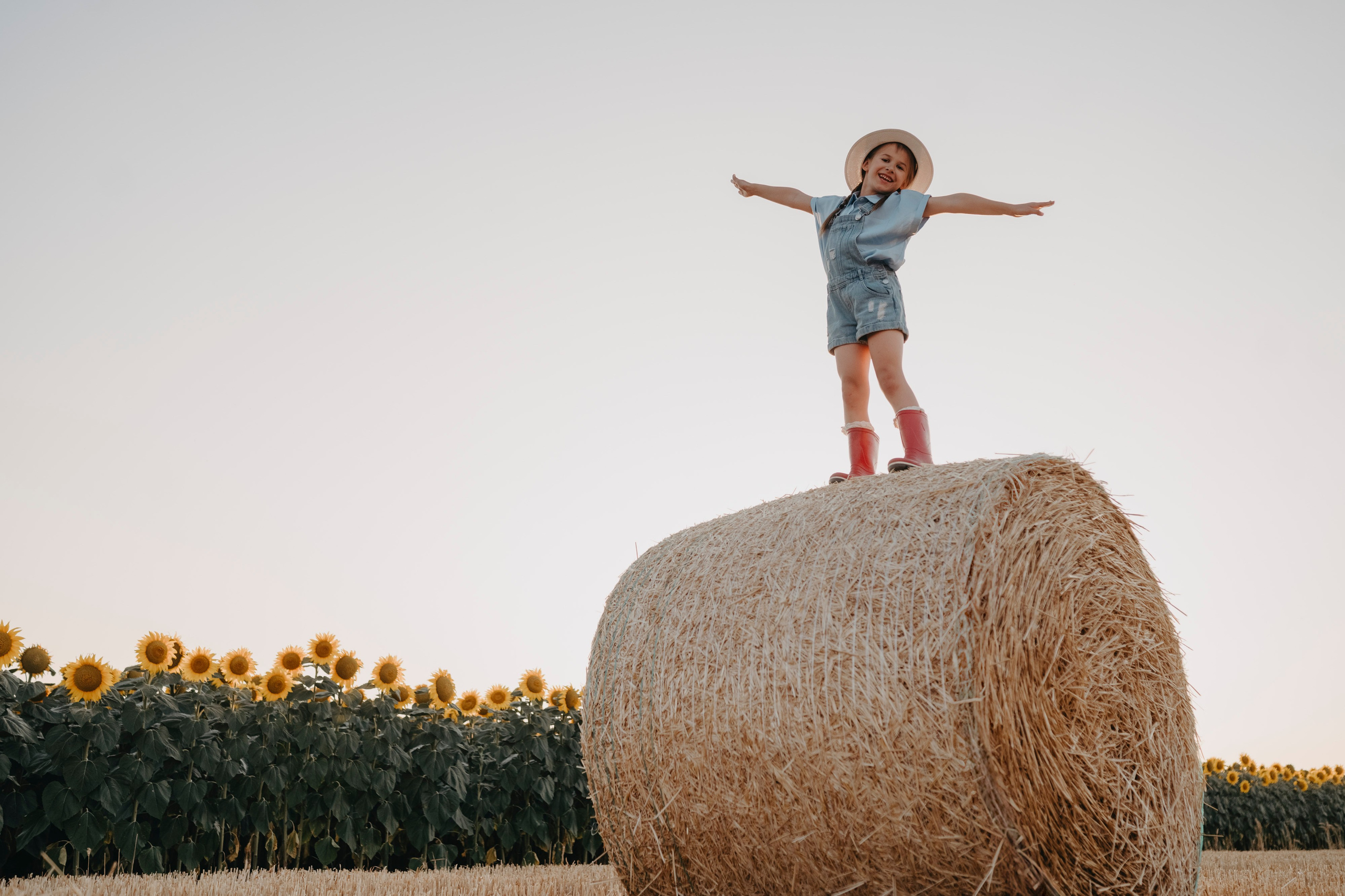 Letnje fotografisanje u polju suncokreta i sena. Deciji i porodicni fotograf u Beogradu Oksana Skendzic