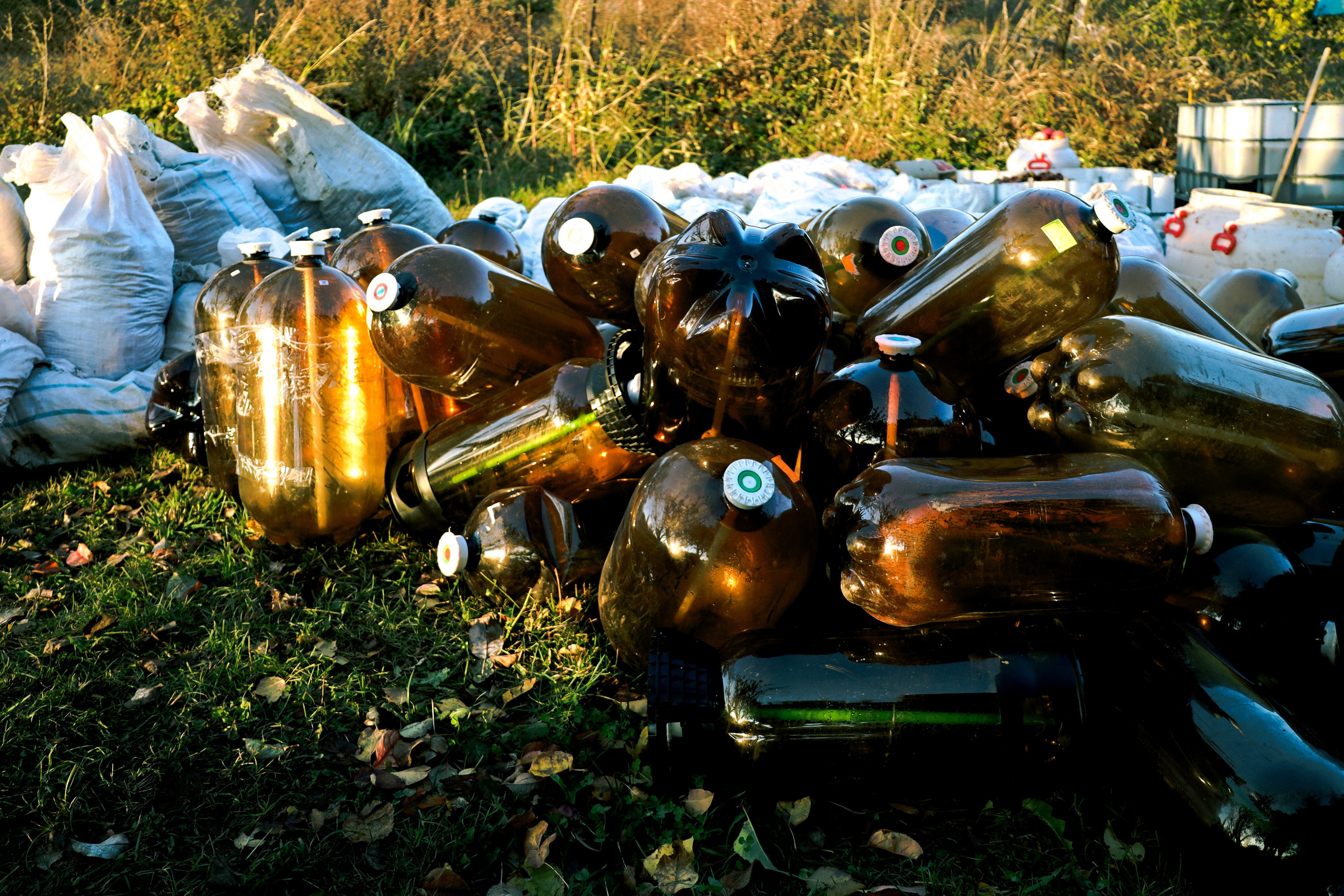 Factory reportage (hand-crafted cider). Asmikiam
