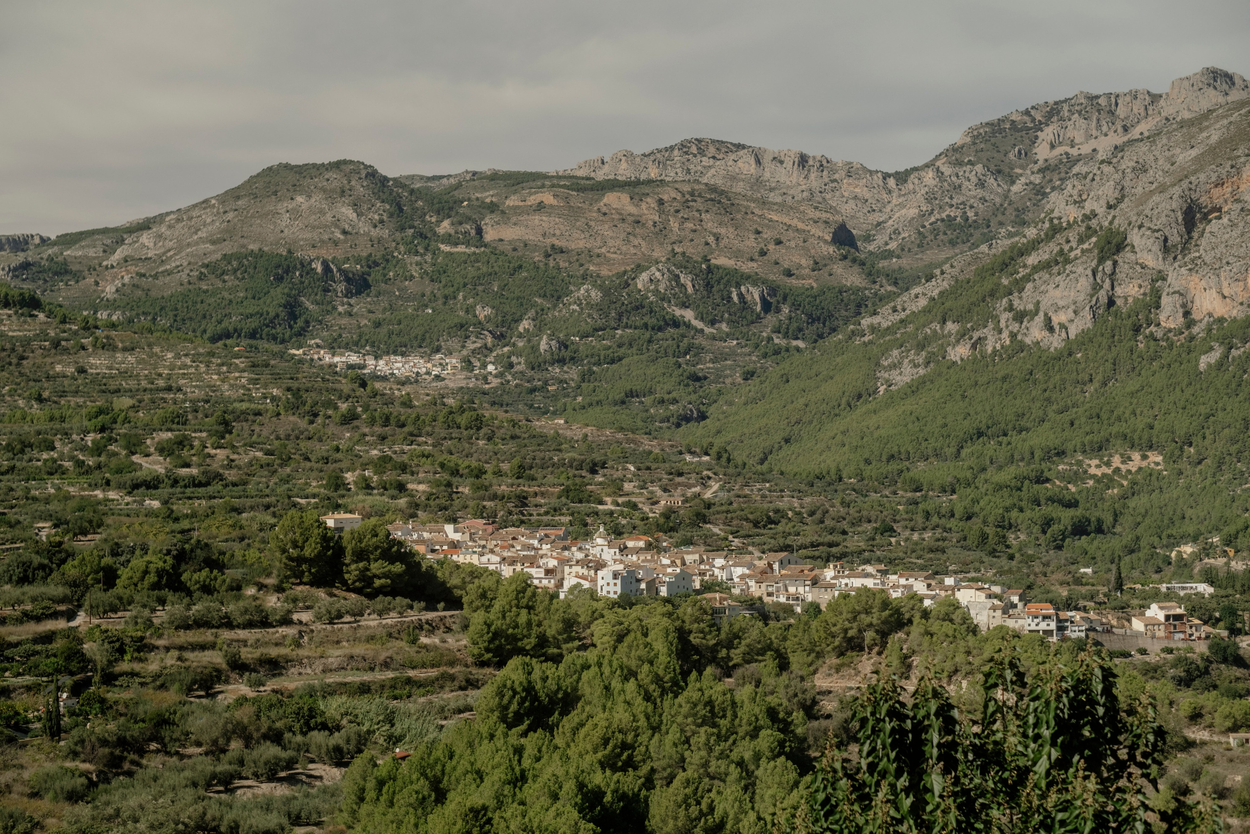 Dasha & Ister. Vivood Landscape. Paola fotógrafo / videografo de bodas en Barcelona
