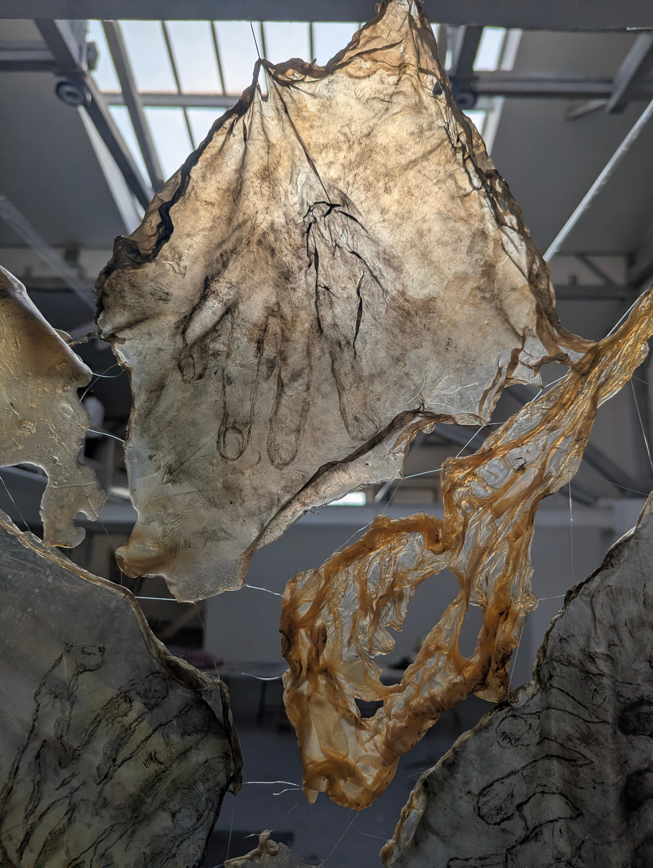 Internal chaos. Angelina Sorokopud. Artist in Strasbourg