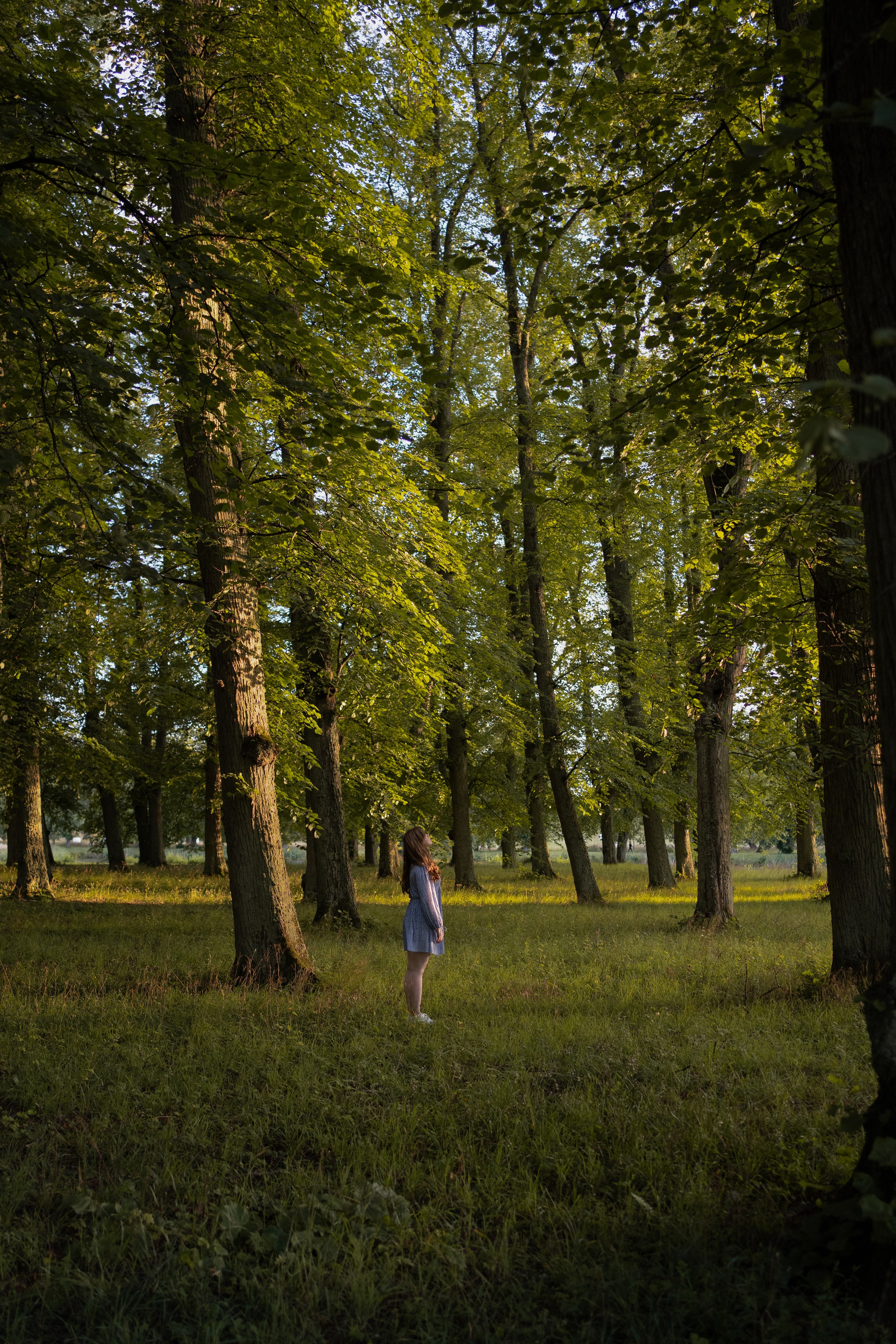 Portrait photographer in Stockholm. Photographer in Stockholm