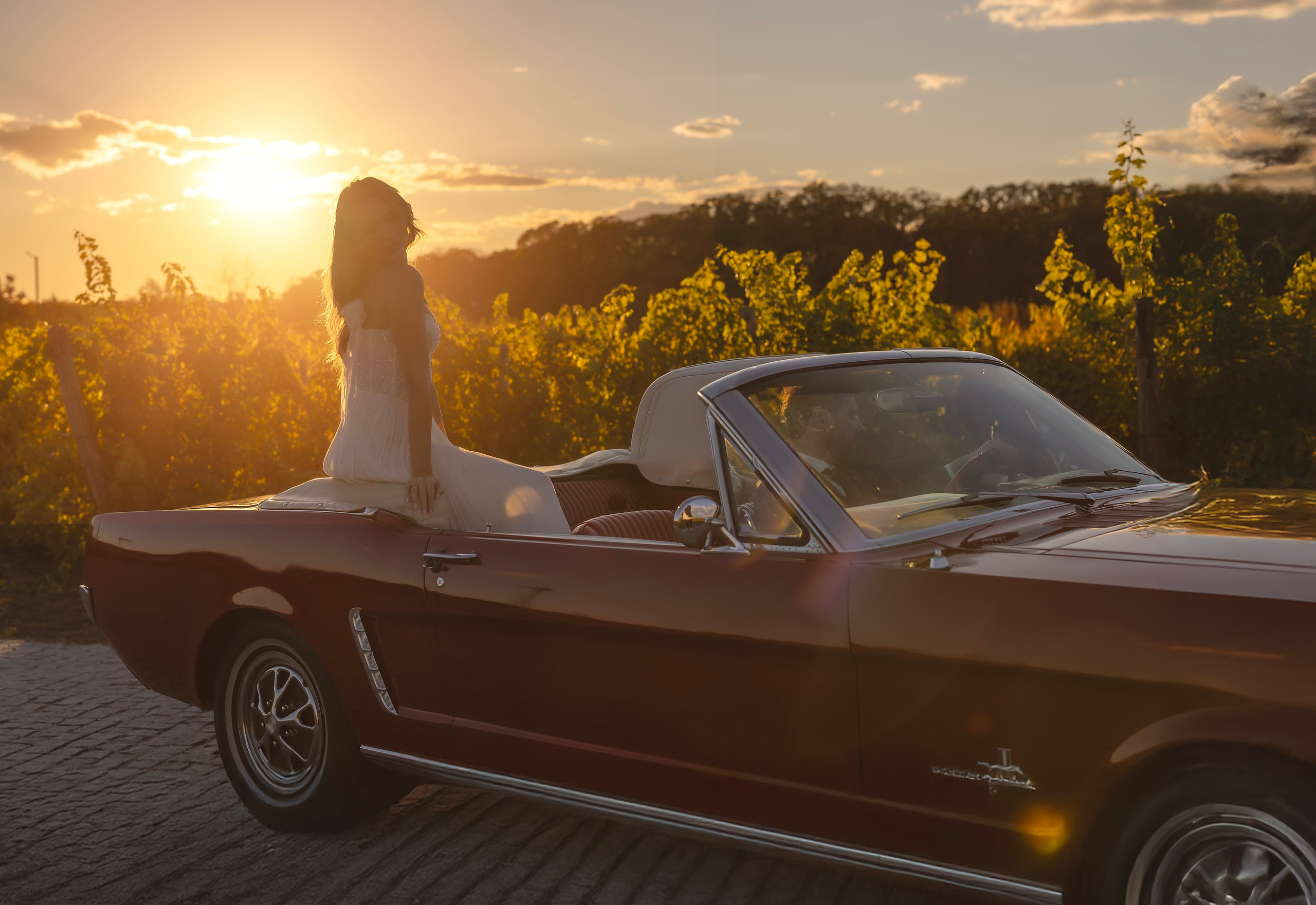 Mihai & Denisa. Romeo Dimache — Wedding photographer in Romania