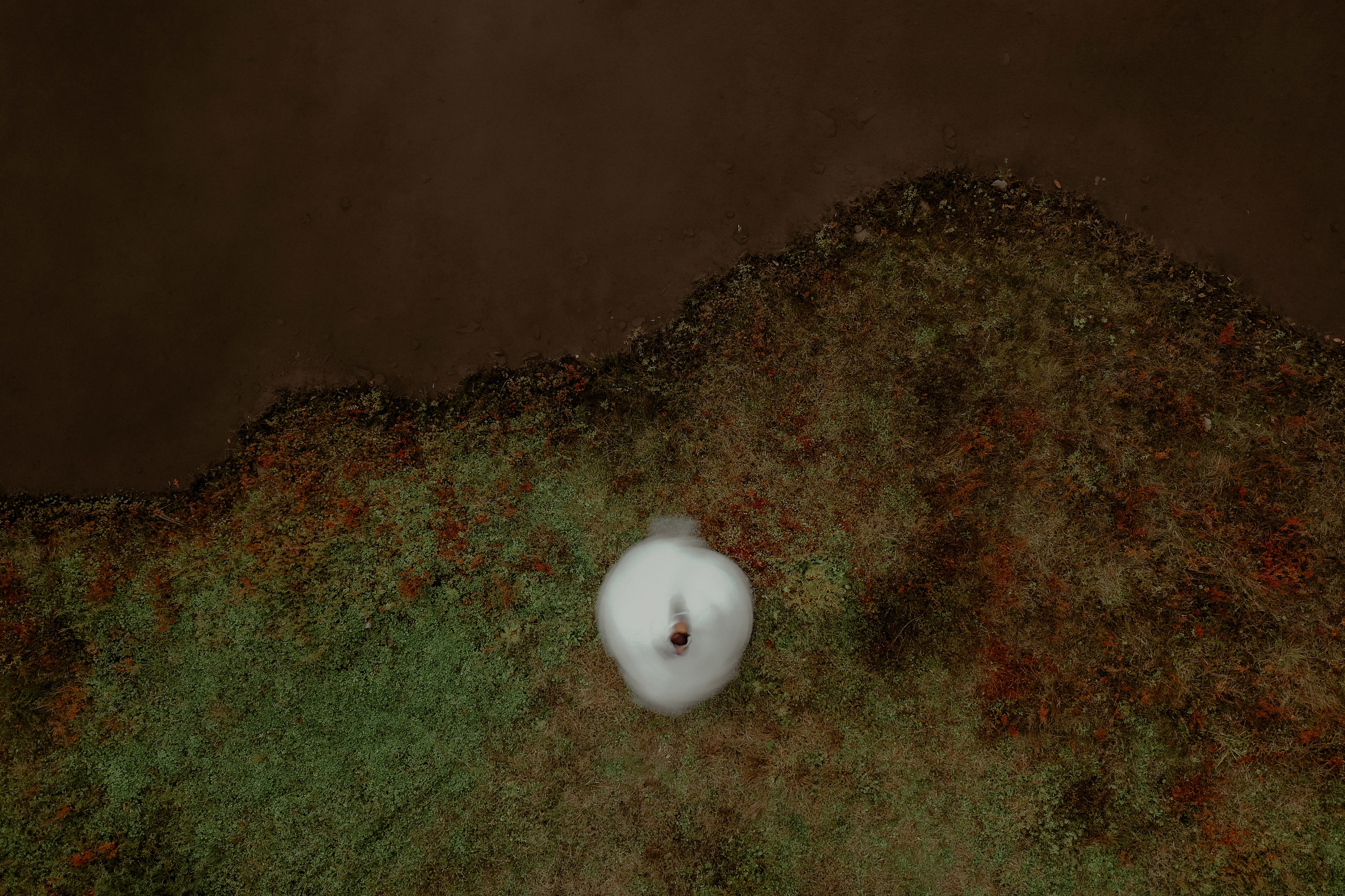 I&M. Wedding & Family photographer Jelena Anđelić